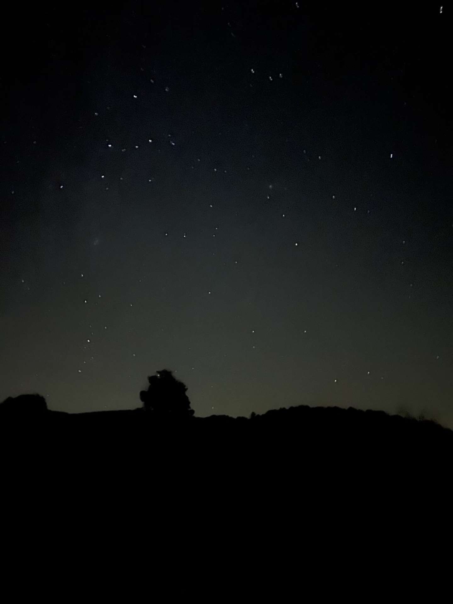 ...The starlit skies at night.