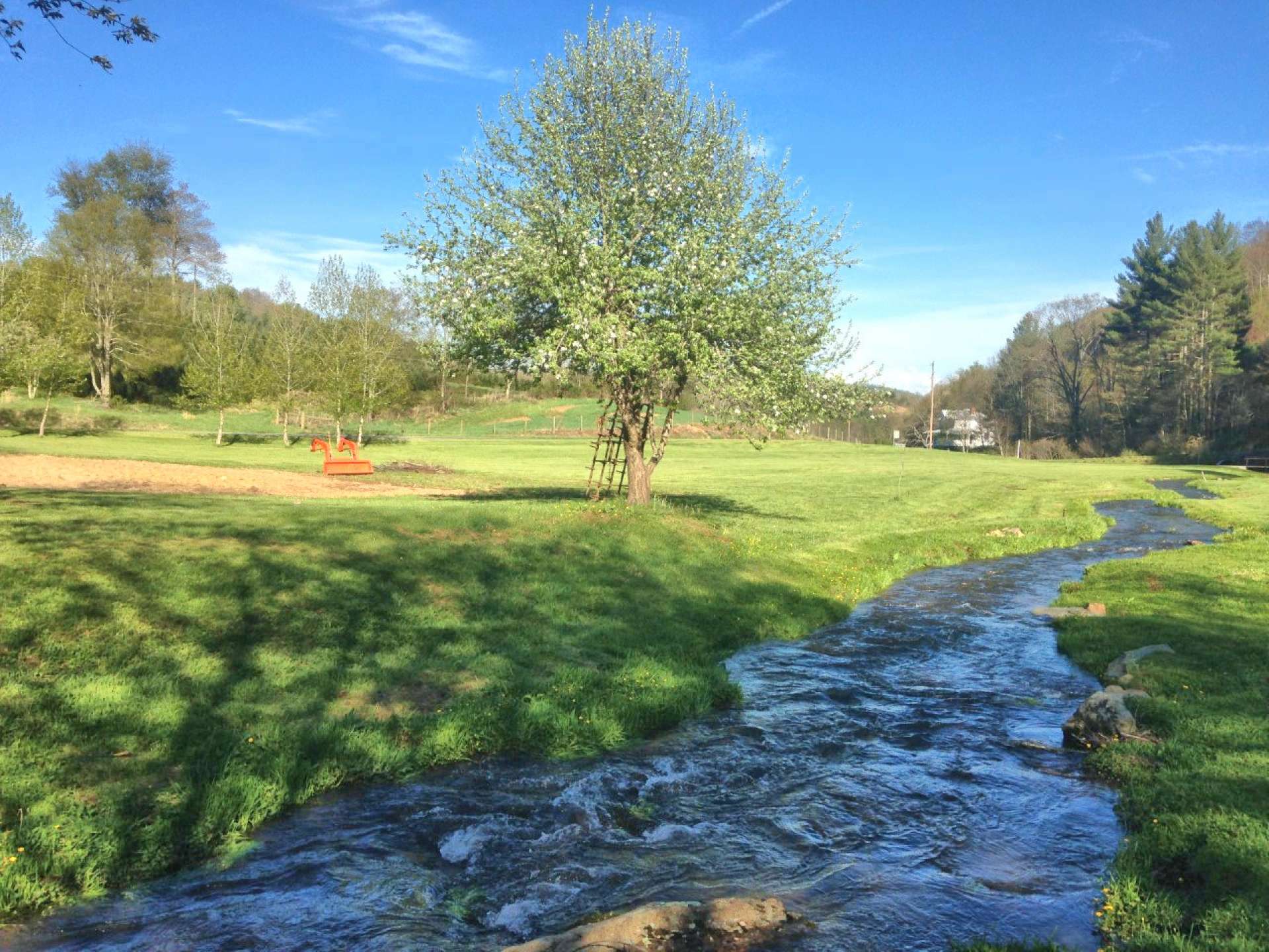 These photos provided by the owners shows the garden spot and creek in Summer.