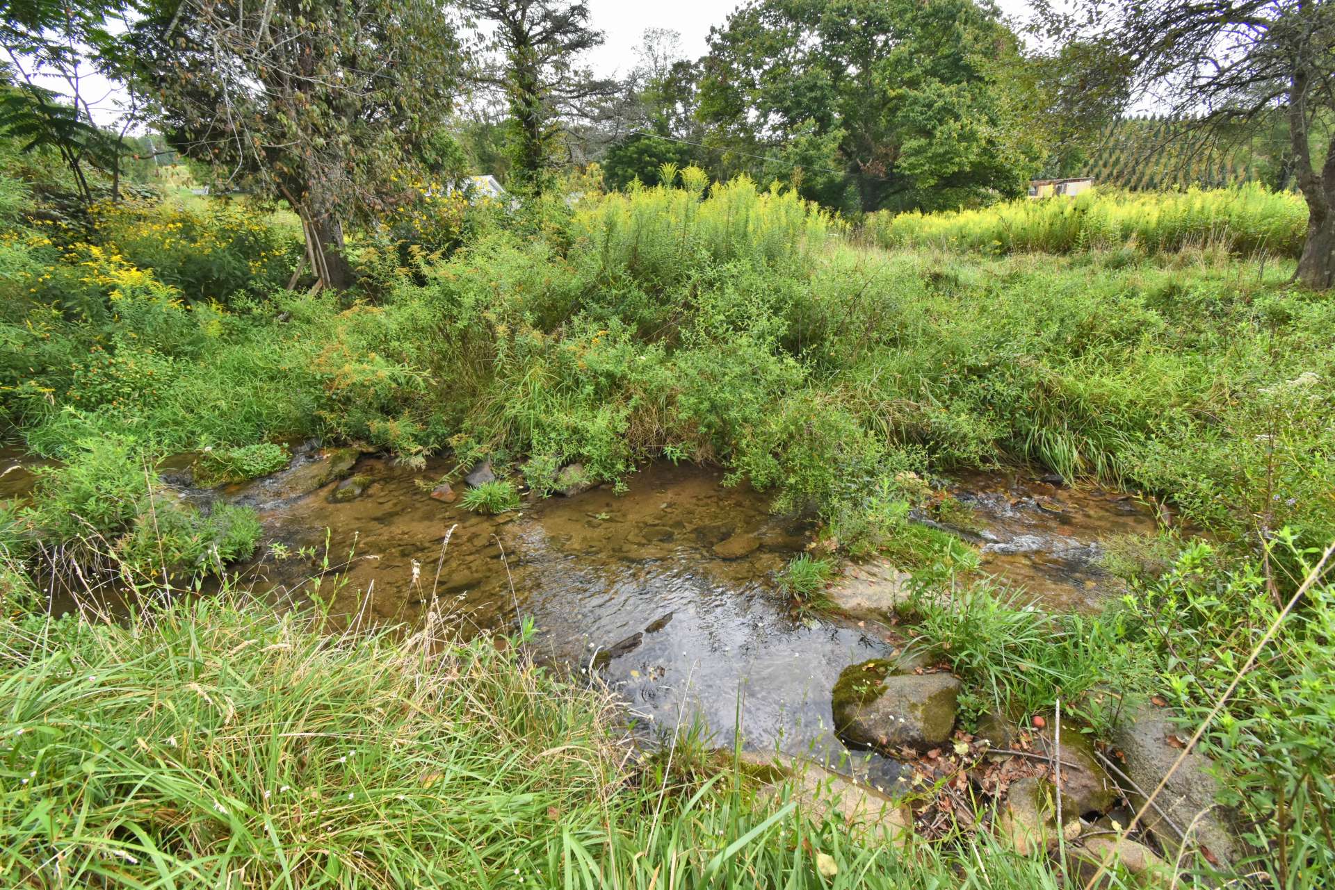 The is the creek just behind the barn.