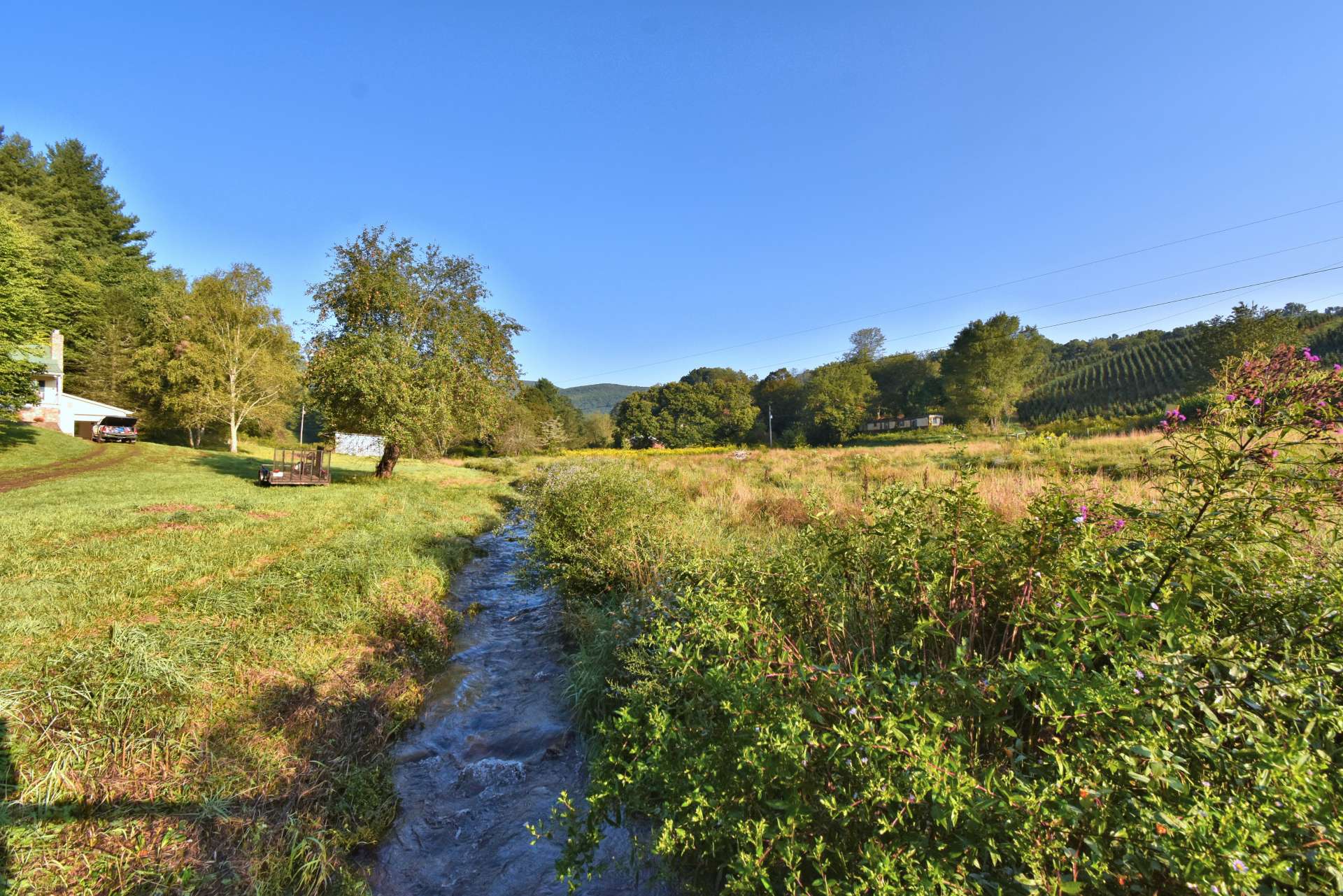 Little Wilson Creek flows through the property enhancing the peaceful country feel.