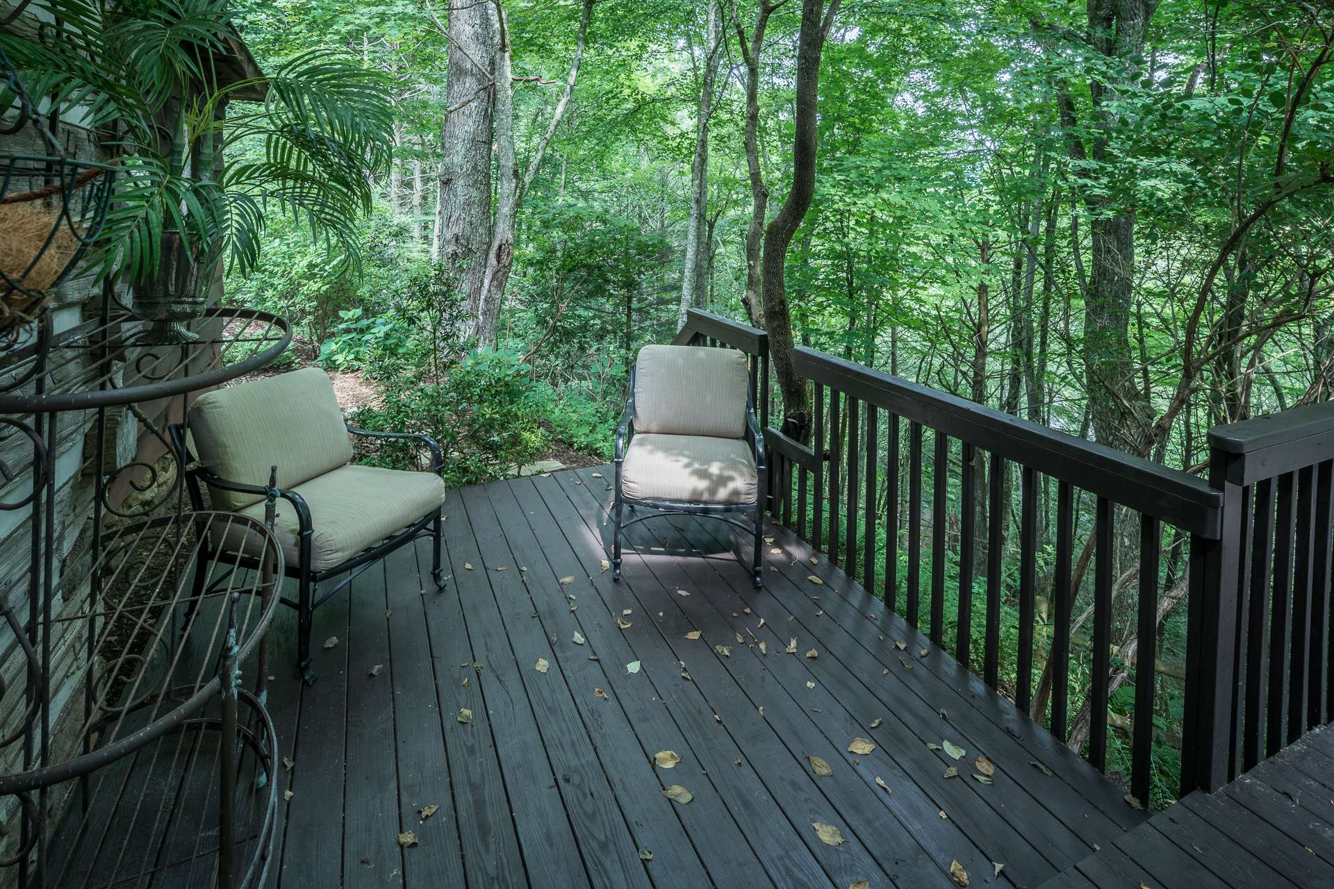 Sitting on the back deck feels like you're in a tree house - it's so beautiful.