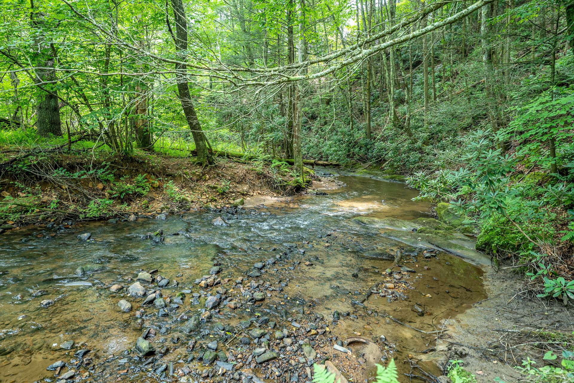 Beaver Creek frontage - hang your hammock and relax!