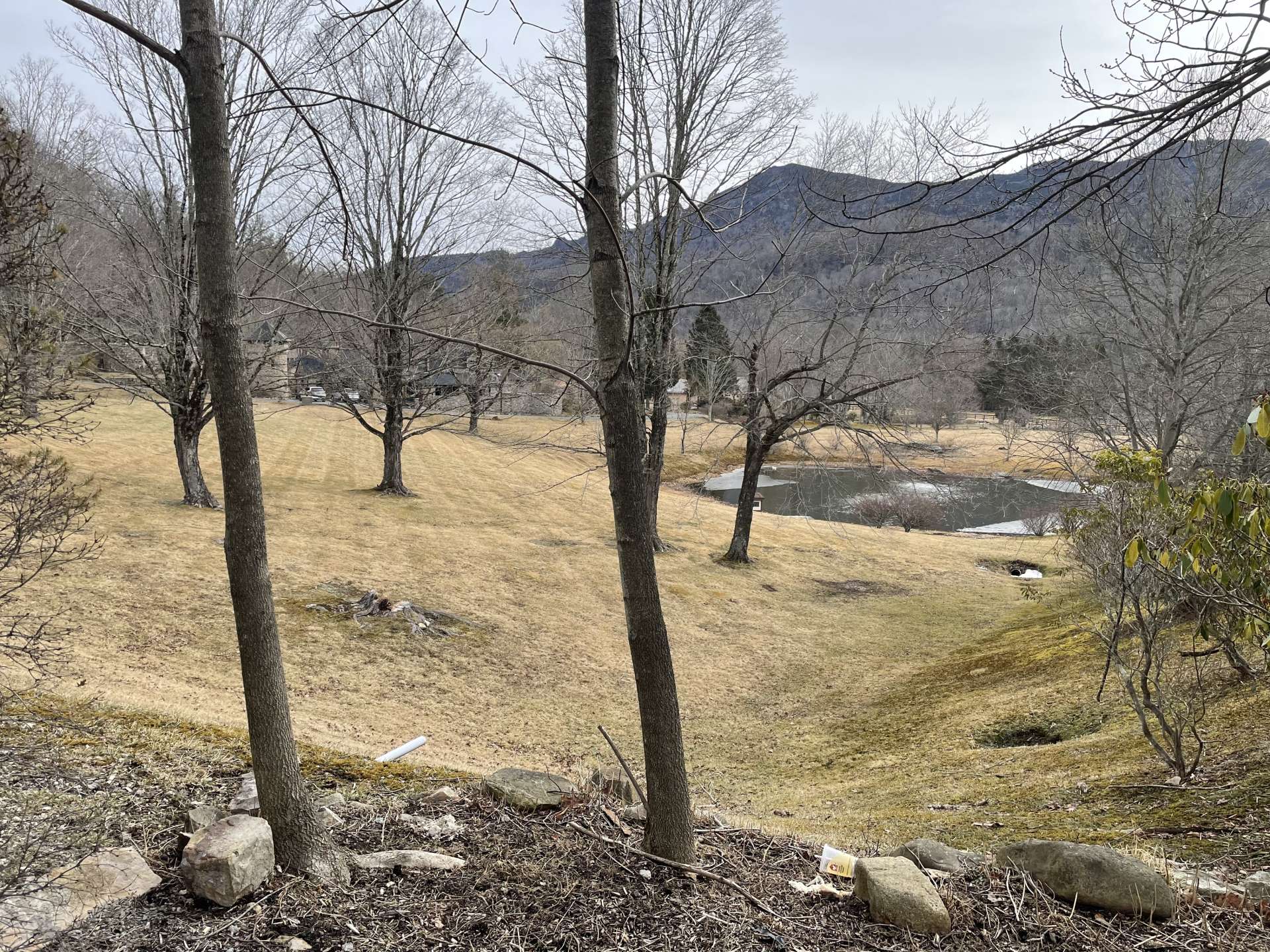 Plenty of community common area pond