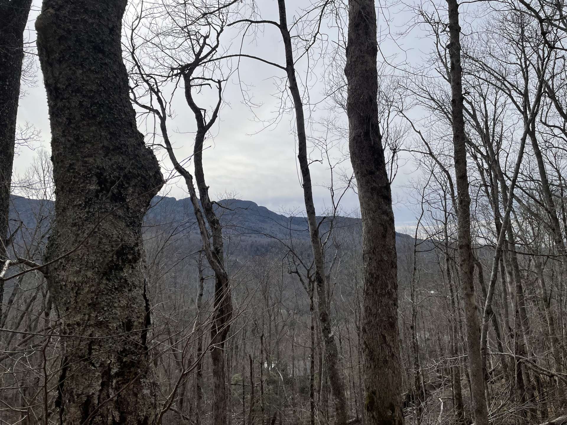 Grandfather Mountain Views