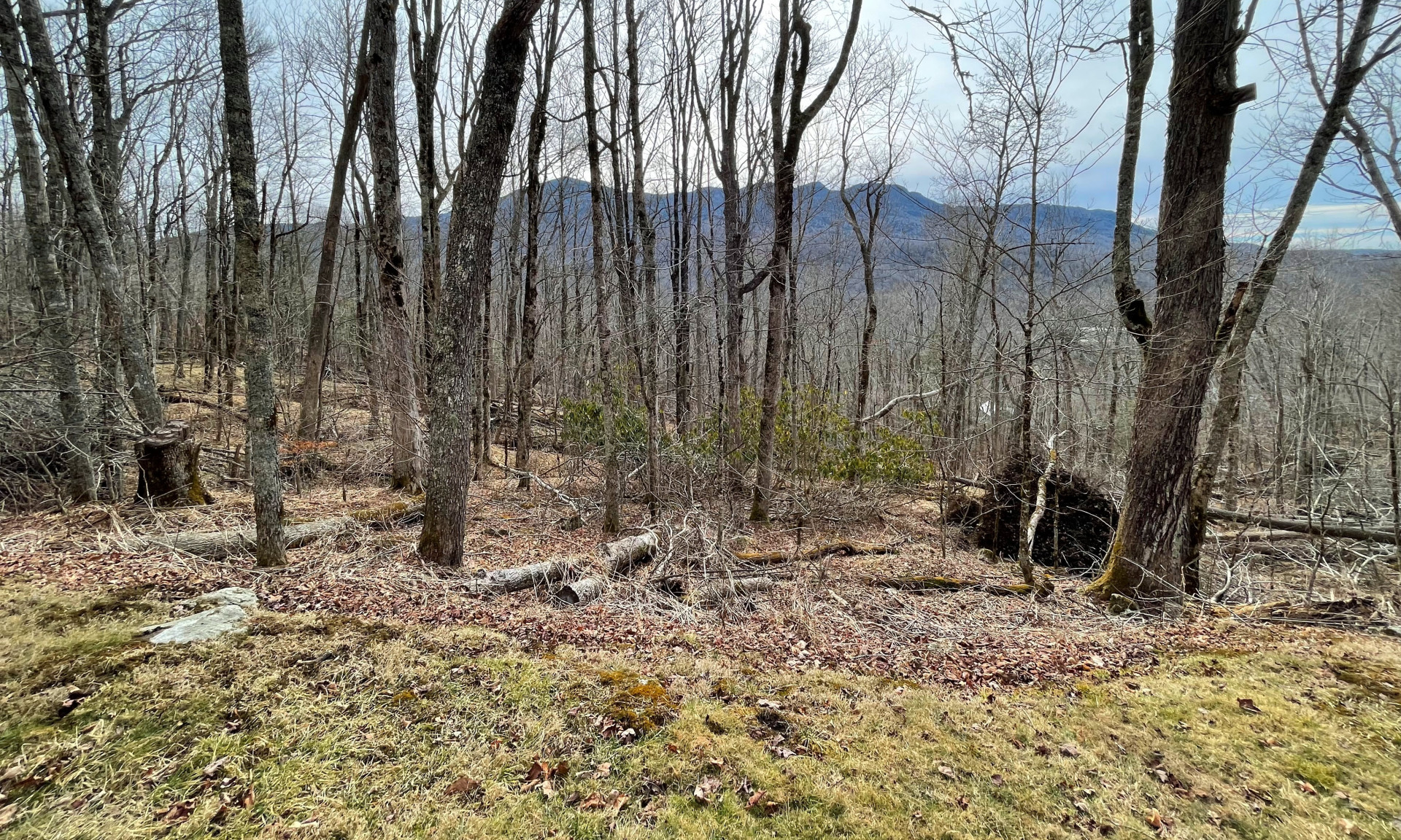 High Elevation Homesite Banner Elk NC Mountains