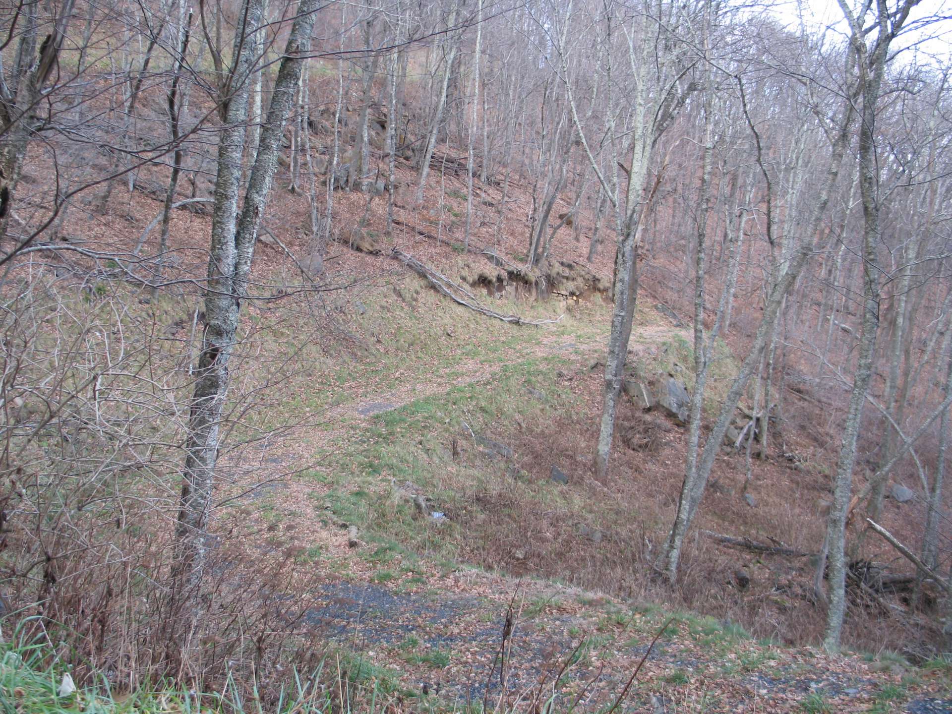 Another winter photo showing how the land lays.