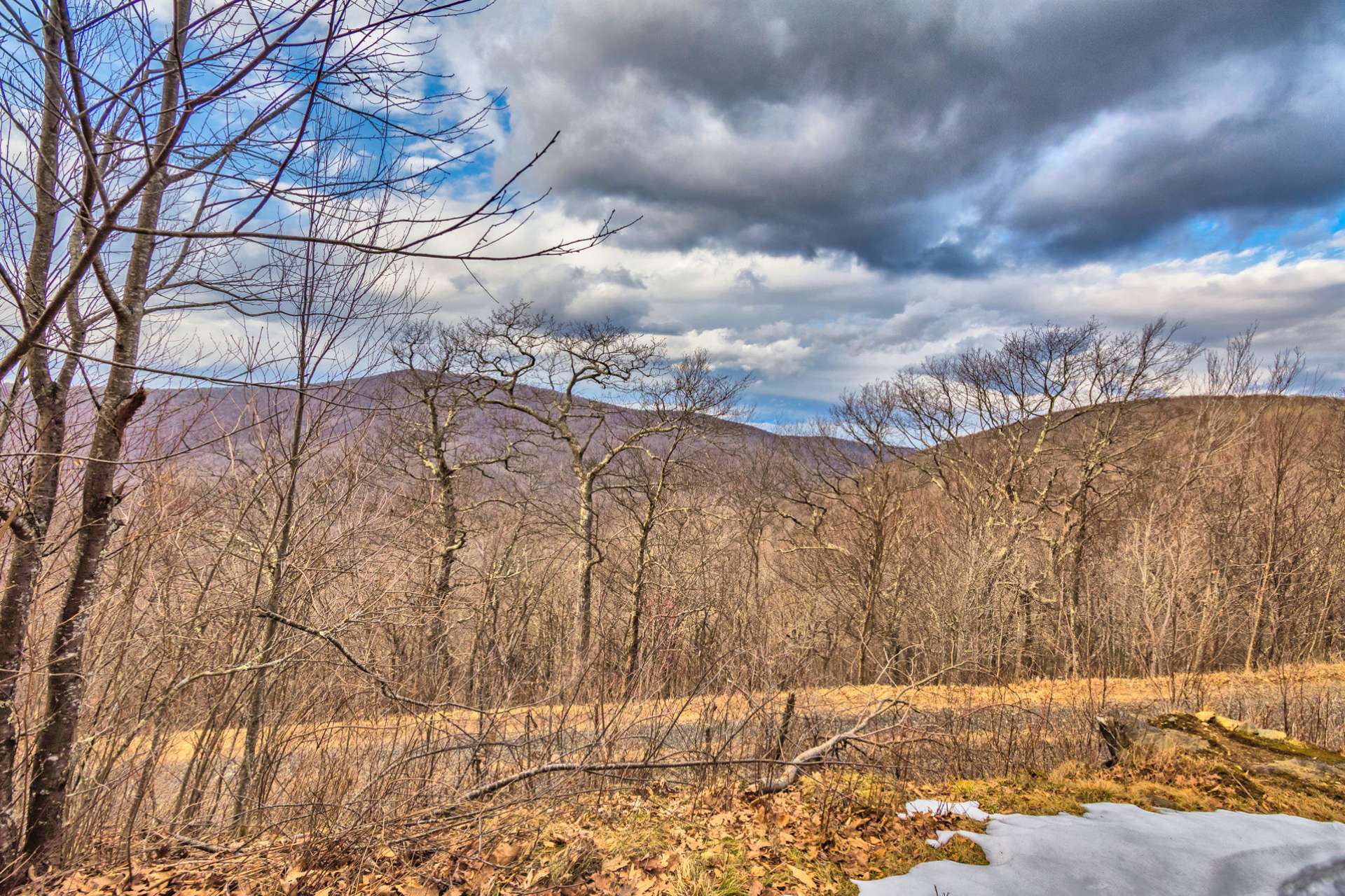 This beautifully wooded 2 acre homesite in Big Tree offers layered long range mountain vista views at high elevations.