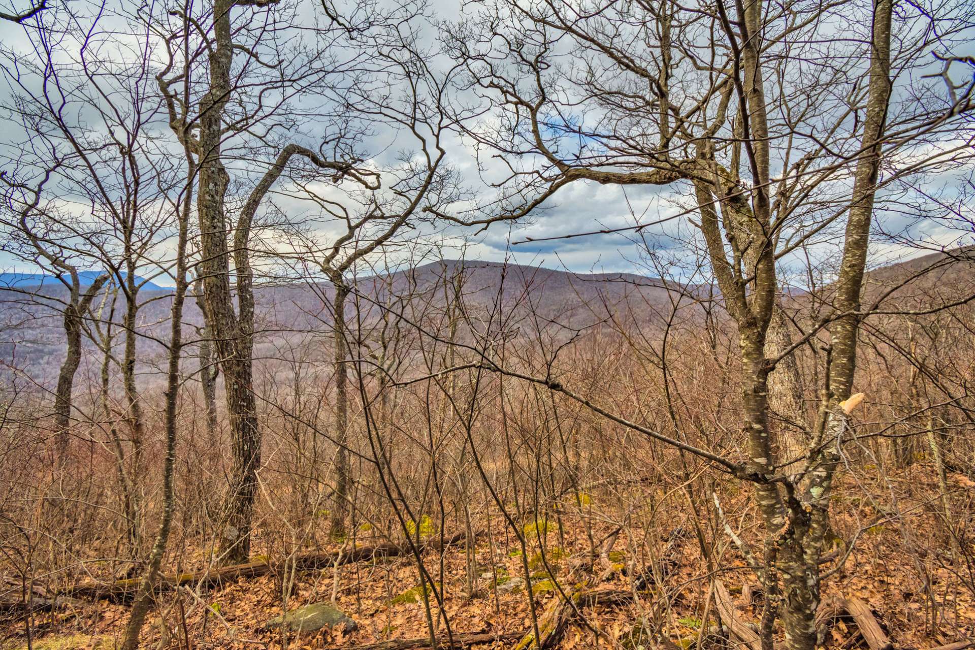 Imagine relaxing on the porch or deck of your newly constructed home or cabin and enjoying the views and the sounds of Nature all around you.