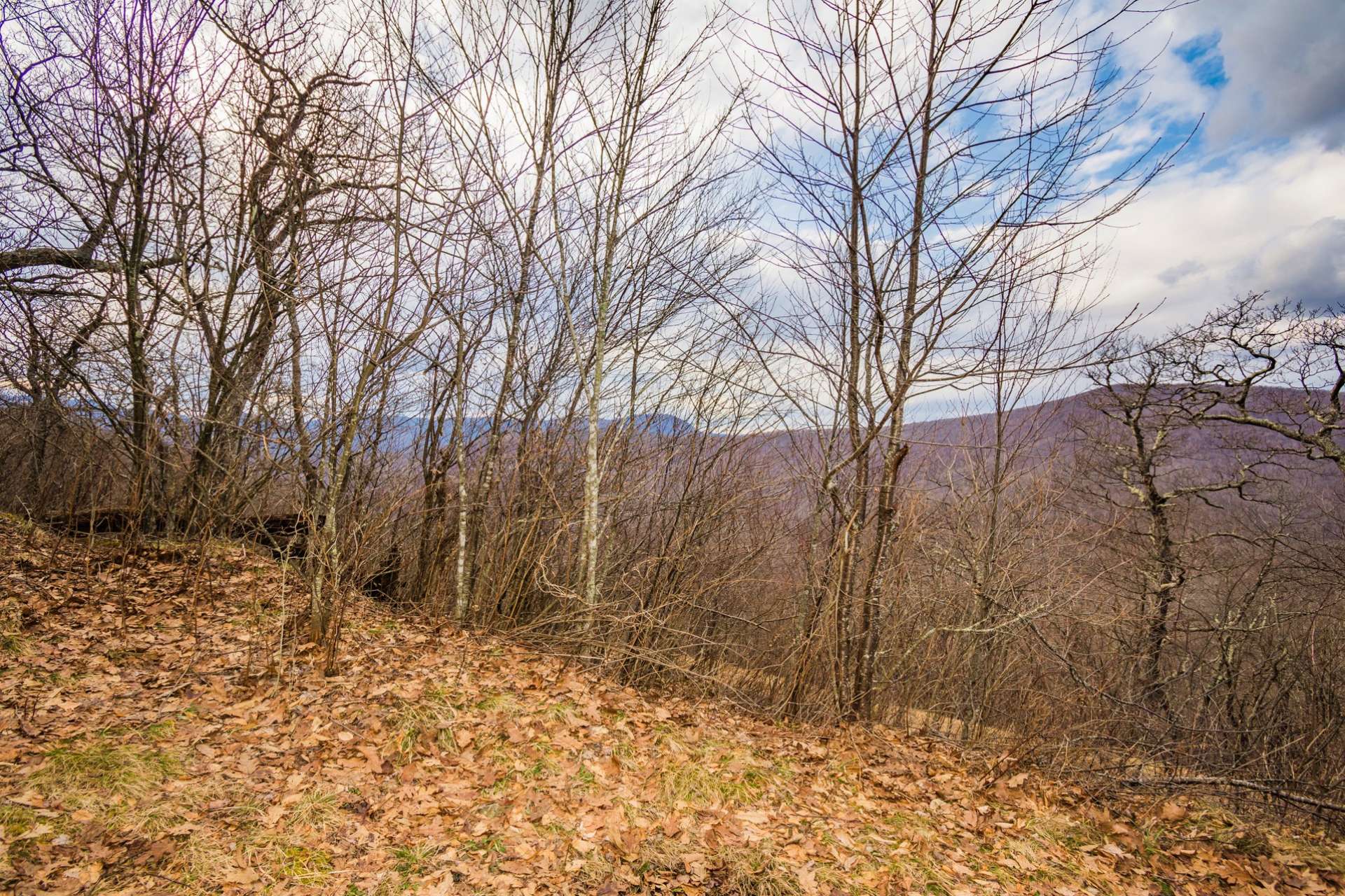 Make plans today to come visit this gorgeous 2 acre homesite in Big Tree, a well established mountain community located just minutes to downtown West Jefferson and just a short drive into Boone, Blowing Rock, and other NC High Country destinations.