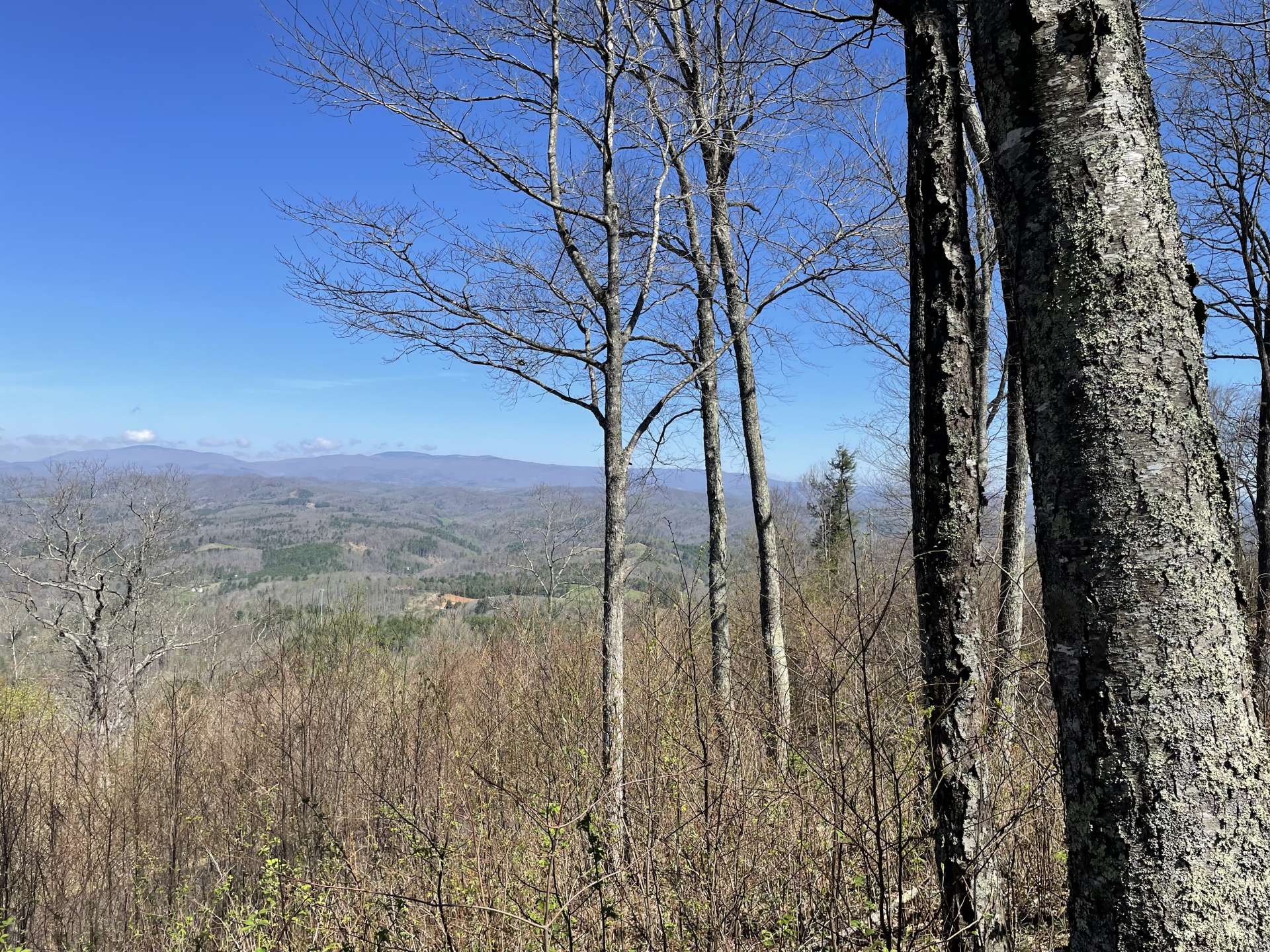 Northeast views toward Virginia.