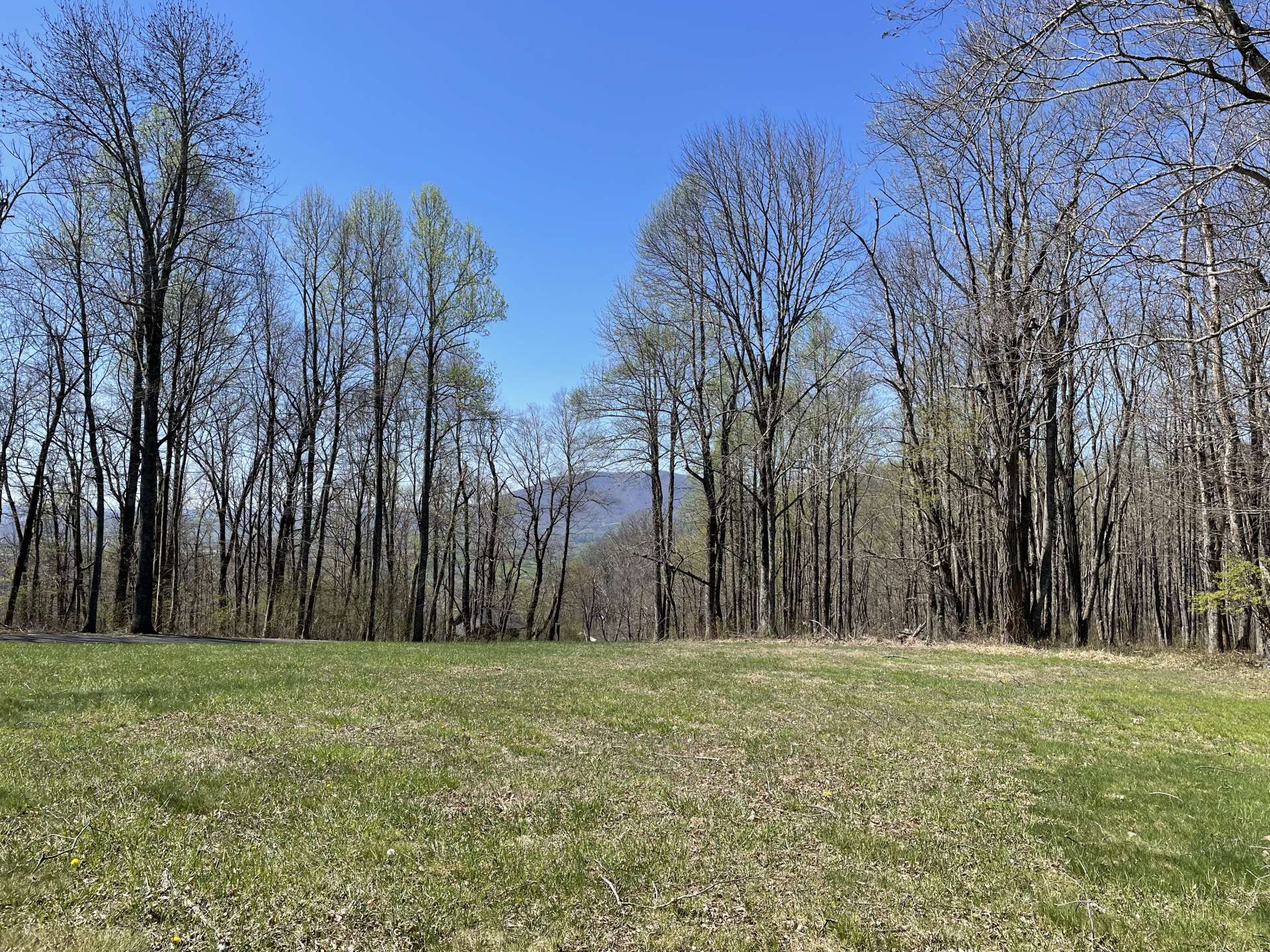 Mountain Jefferson in the distance