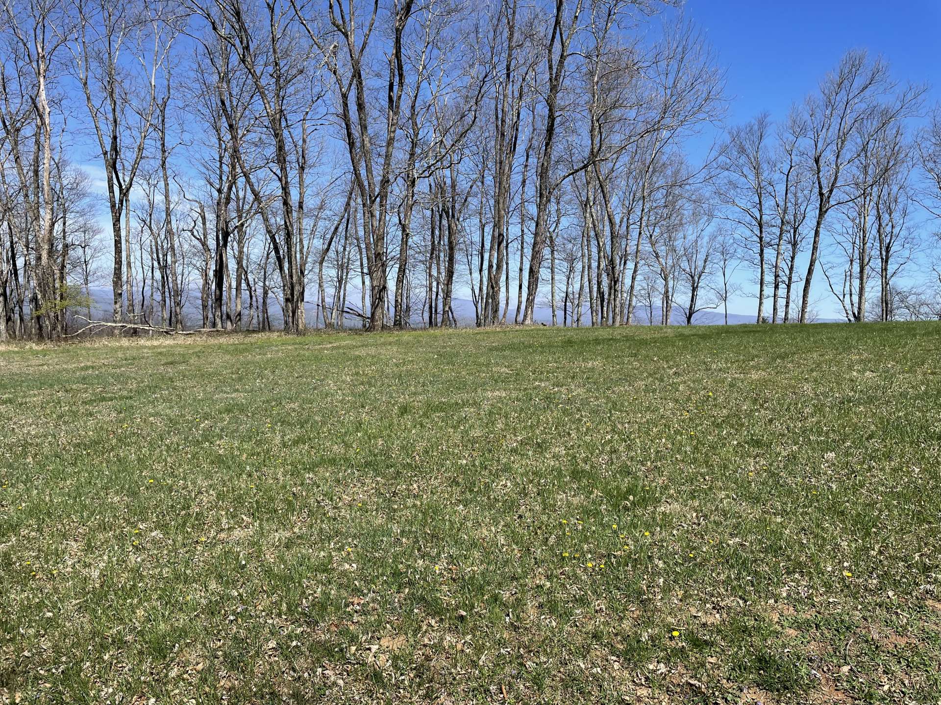 Mostly cleared spot to build with a partial wooded area on the Westerly side.