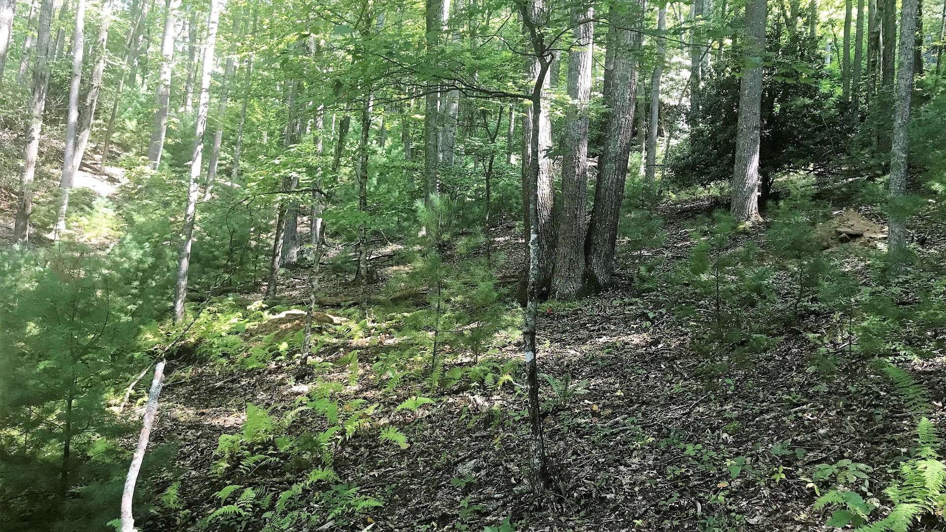 The lot lays well and offers a mixture of hardwoods, evergreens and native mountain foliage.  A 3-bedroom septic system in place.