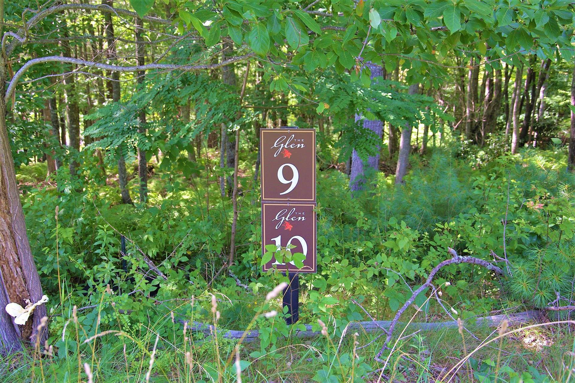 Lots 9 and 10 are available for sale.  This is a wooded 2.46 acre homesite, offering a nice building site as wells as road frontage.