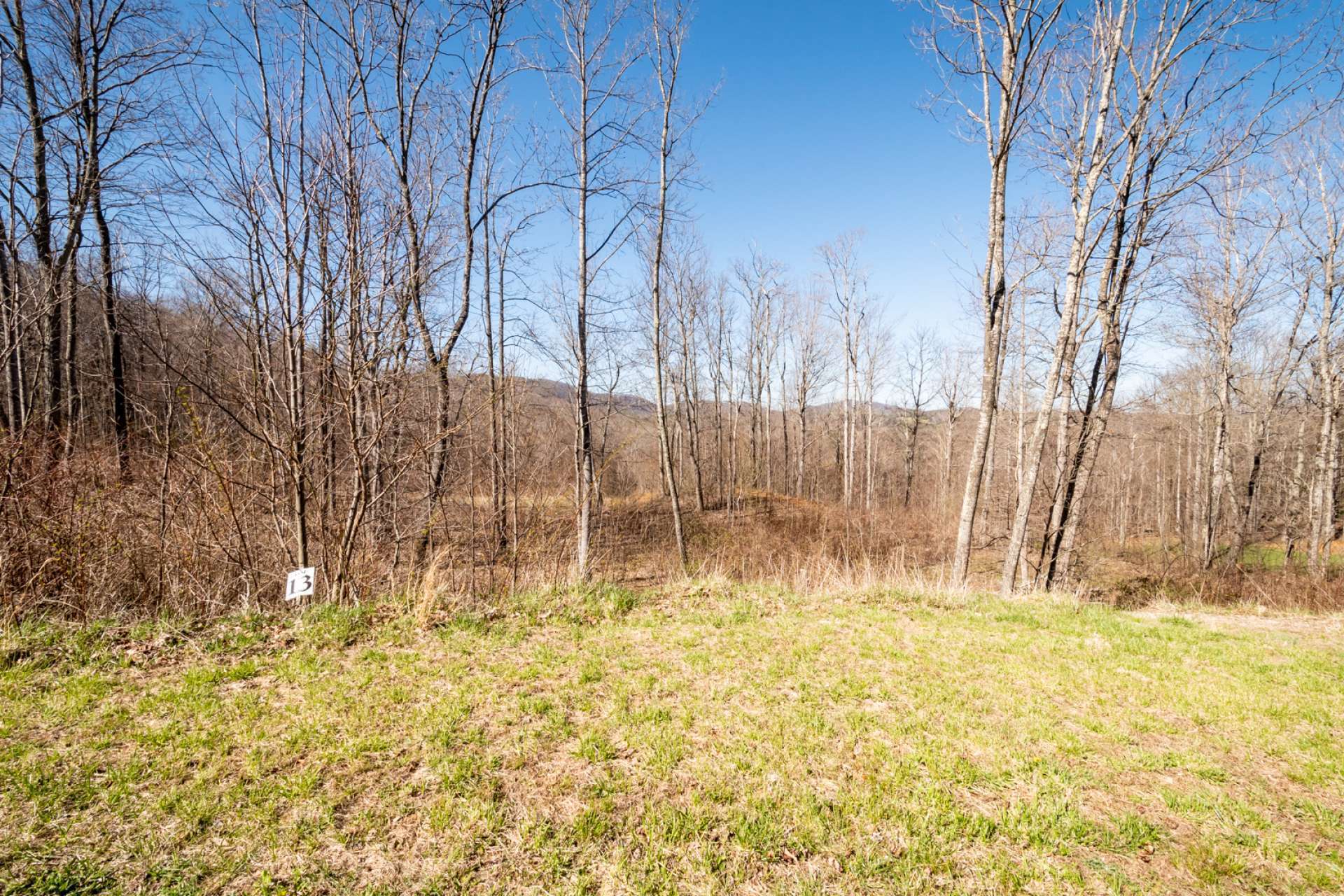 Lots are level and/or gently sloping and offer well planned building sites with long-range mountain views.  Suitable for permanent or second homes.Partially wooded and offering a great location close to town.
