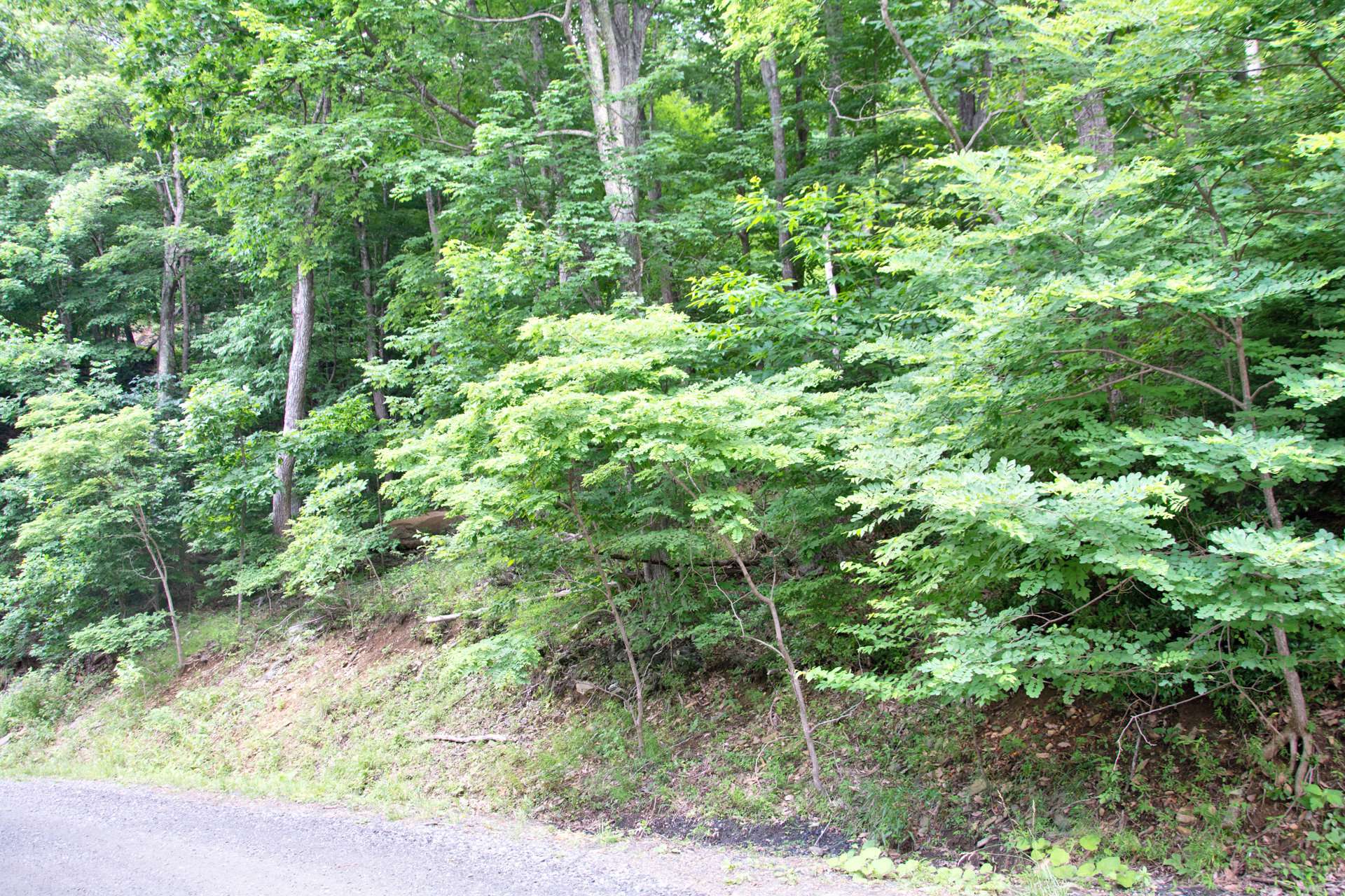 Lot 17 is a 1.67 acre home site with a septic approval for a 2 bedroom home.  This home site is offered at $60,000