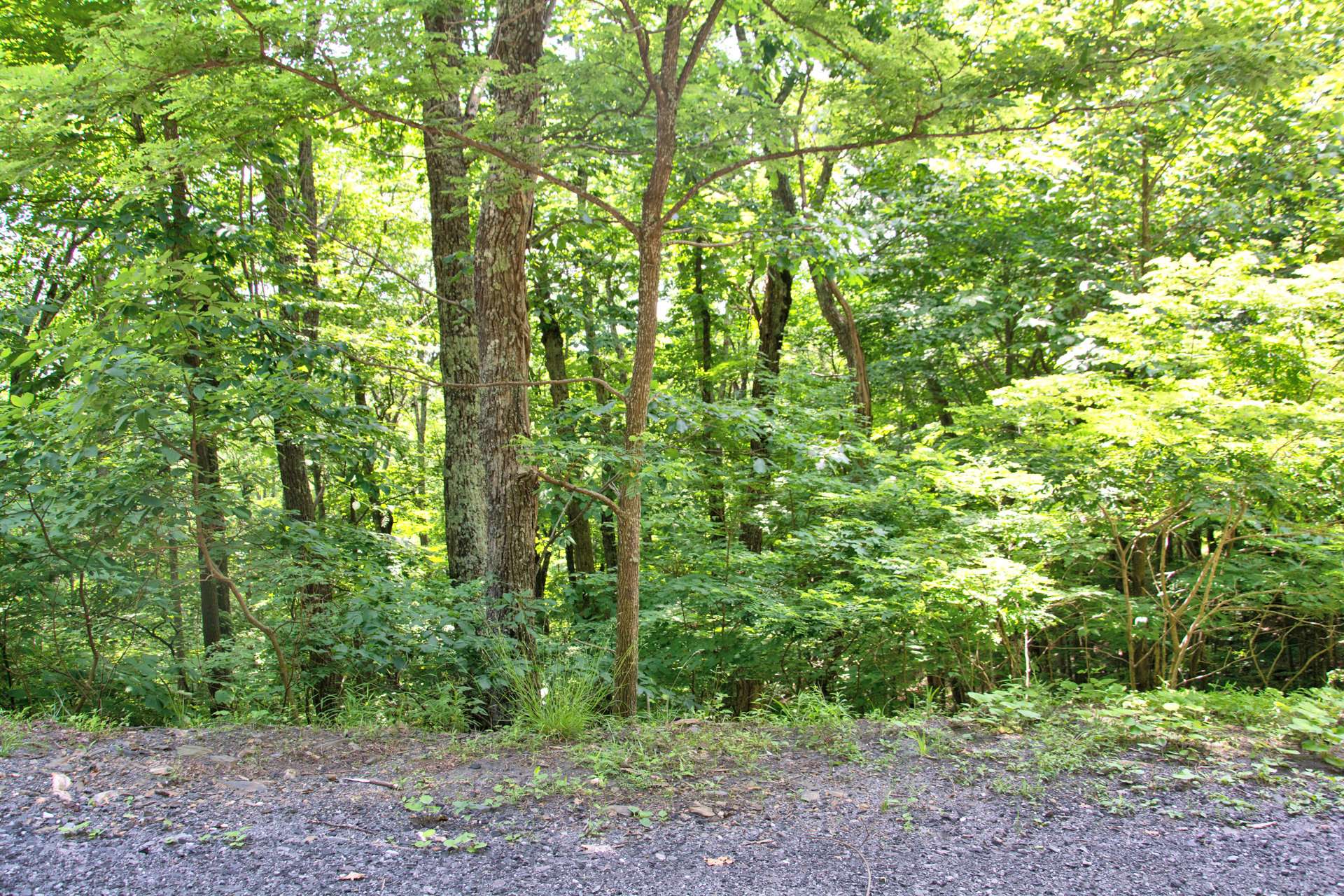 Lot 18, a 1.39 acre home site in Stonebridge features shared well rights and offered at $45,000.