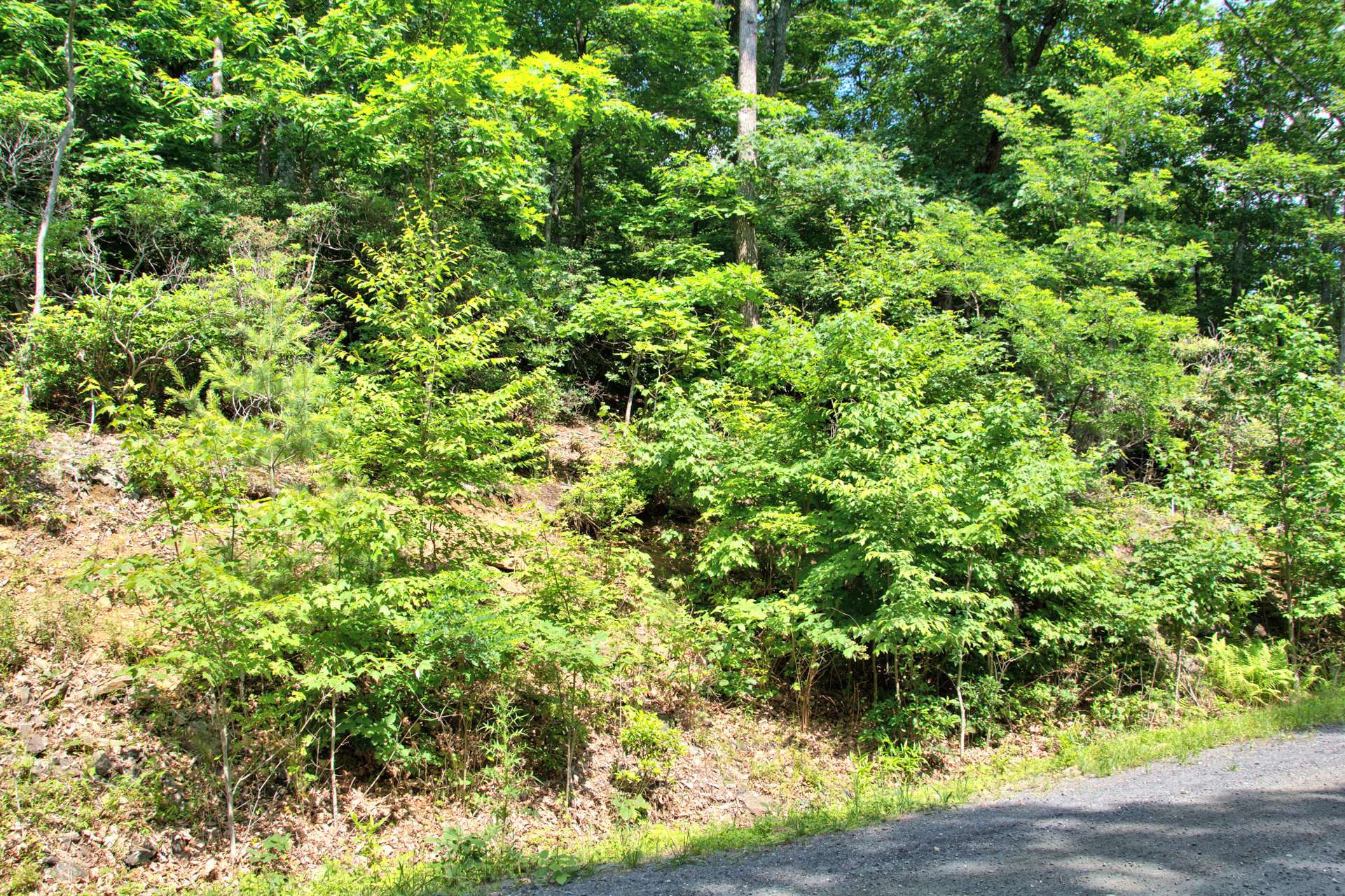 Lot 22, a 0.94 acre home site also has shared well rights and offered at $45,000.
