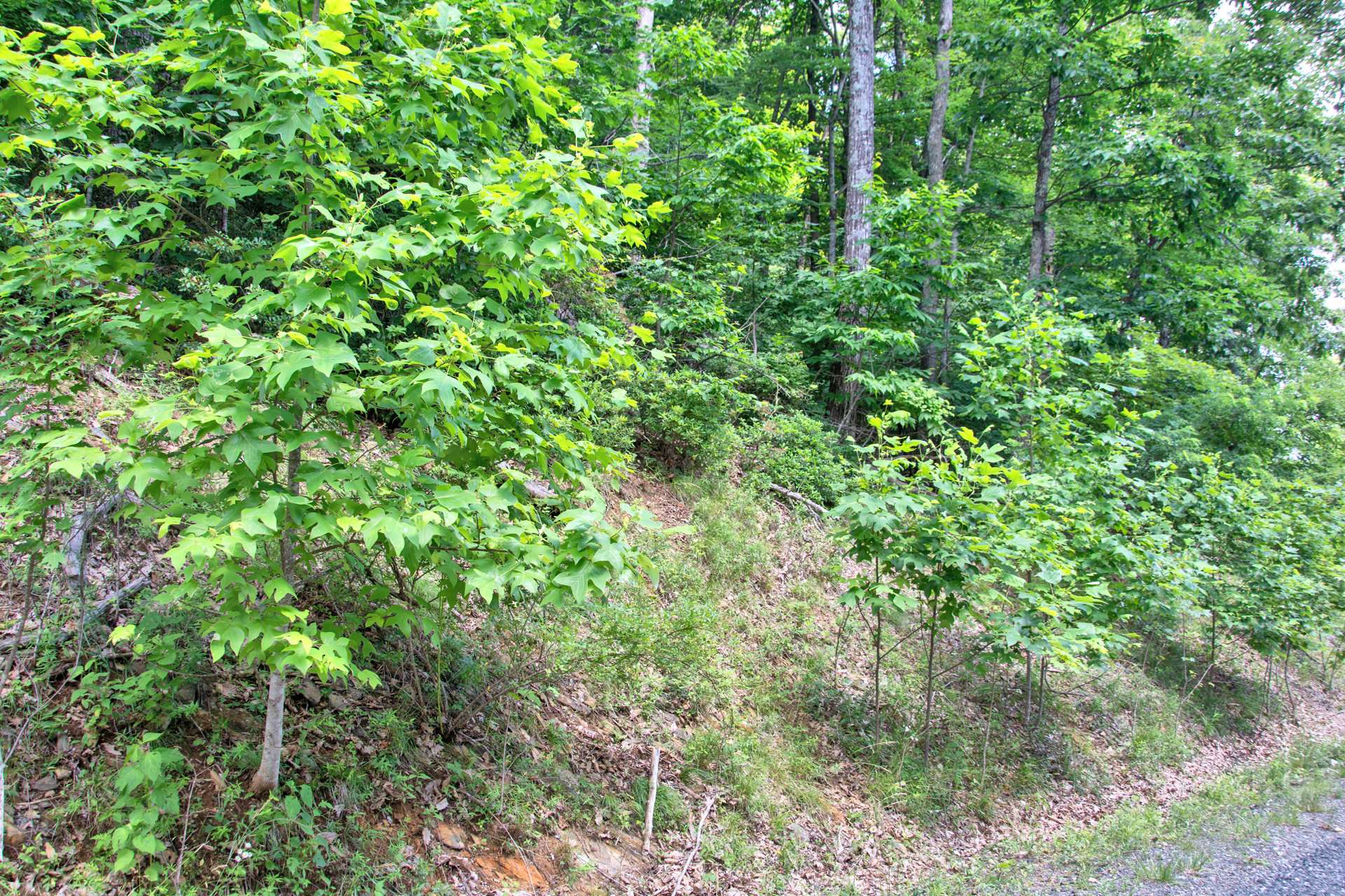 Another great option for your  Stonebridge mountain log cabin is lot 34, a 1.26 acre home site, with shared well rights, offered at $45,000.