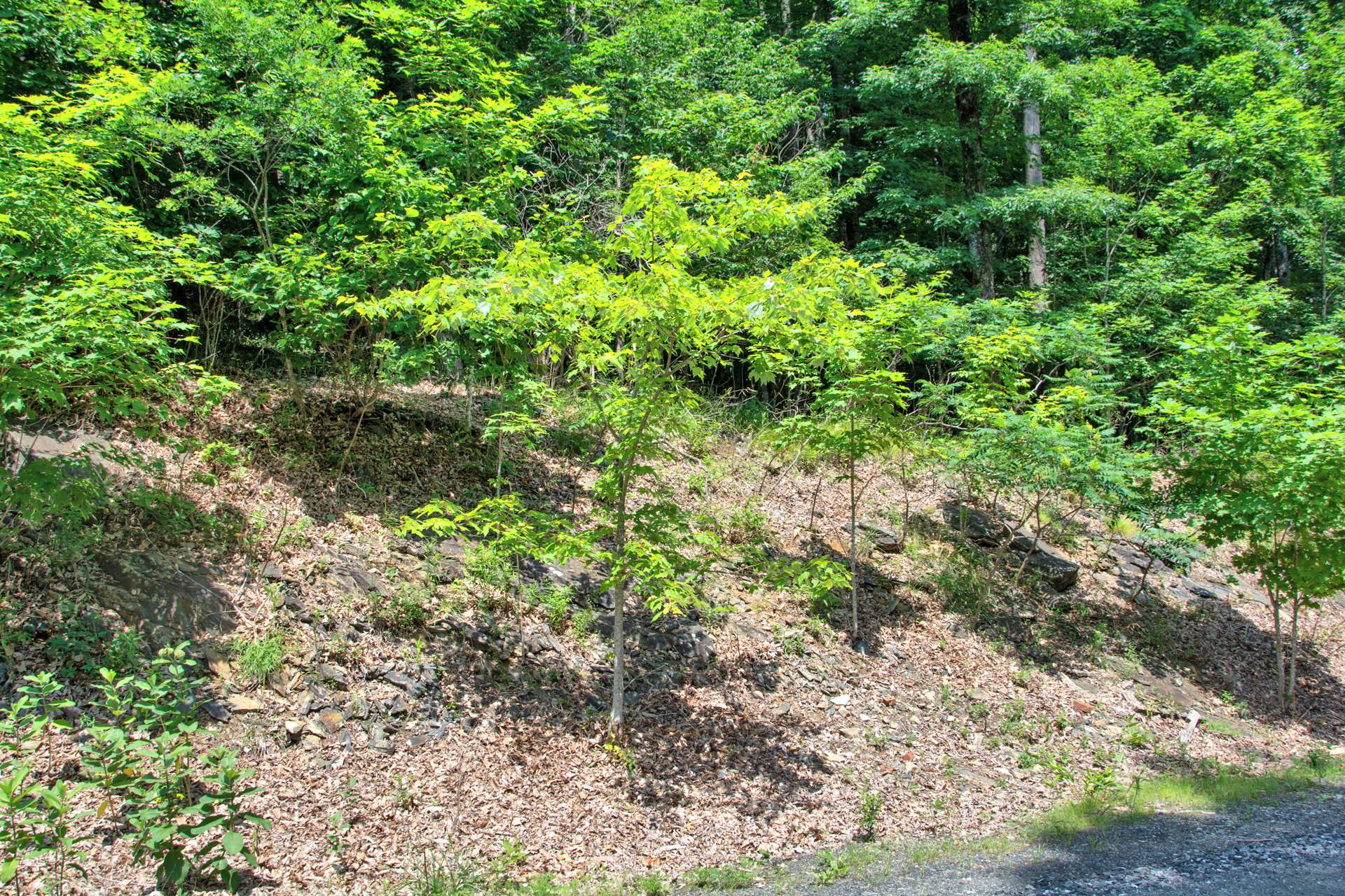 Lot 35 is a 1.08 acre Stonebridge home site with shared well rights offered at $45,000.
