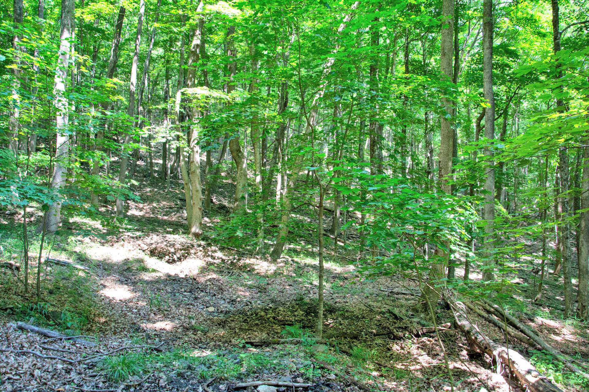 Lot 39, a 1.85 acre mountain home site also has shared well rights and a diverse mixture of hardwoods and mountain foliage.  This lot is offered at $45,000.