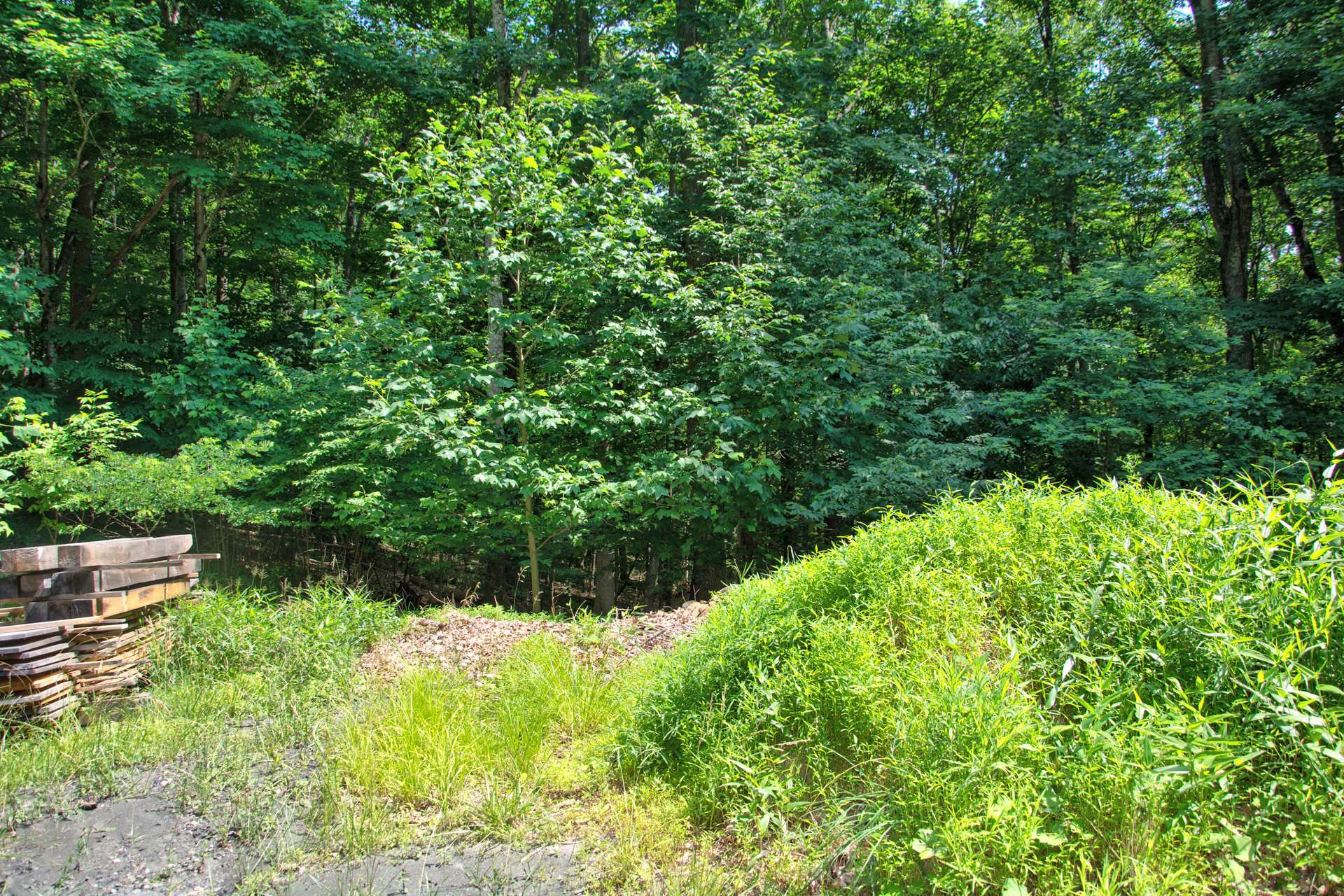 Lot 41 is a 1.14 acre home site on Tomahawk Drive with shared well rights as water source and offered at $45,000.