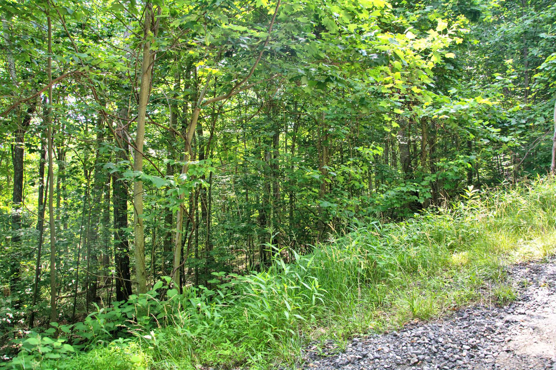 This is lot 44, a 1.08 acre beautifully wooded home site  with shared well rights.  This home site is offered at $45,000 and would be a great location for your NC Mountain Cabin.