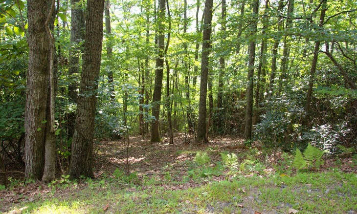 <b> Lots 23 & 24</b> are adjoining lots offering  another peaceful wooded 2.47 acre home site with gorgeous native rhododendron, mountain foliage, mature trees, and potential views,   available in Laurel Ridge Estates.