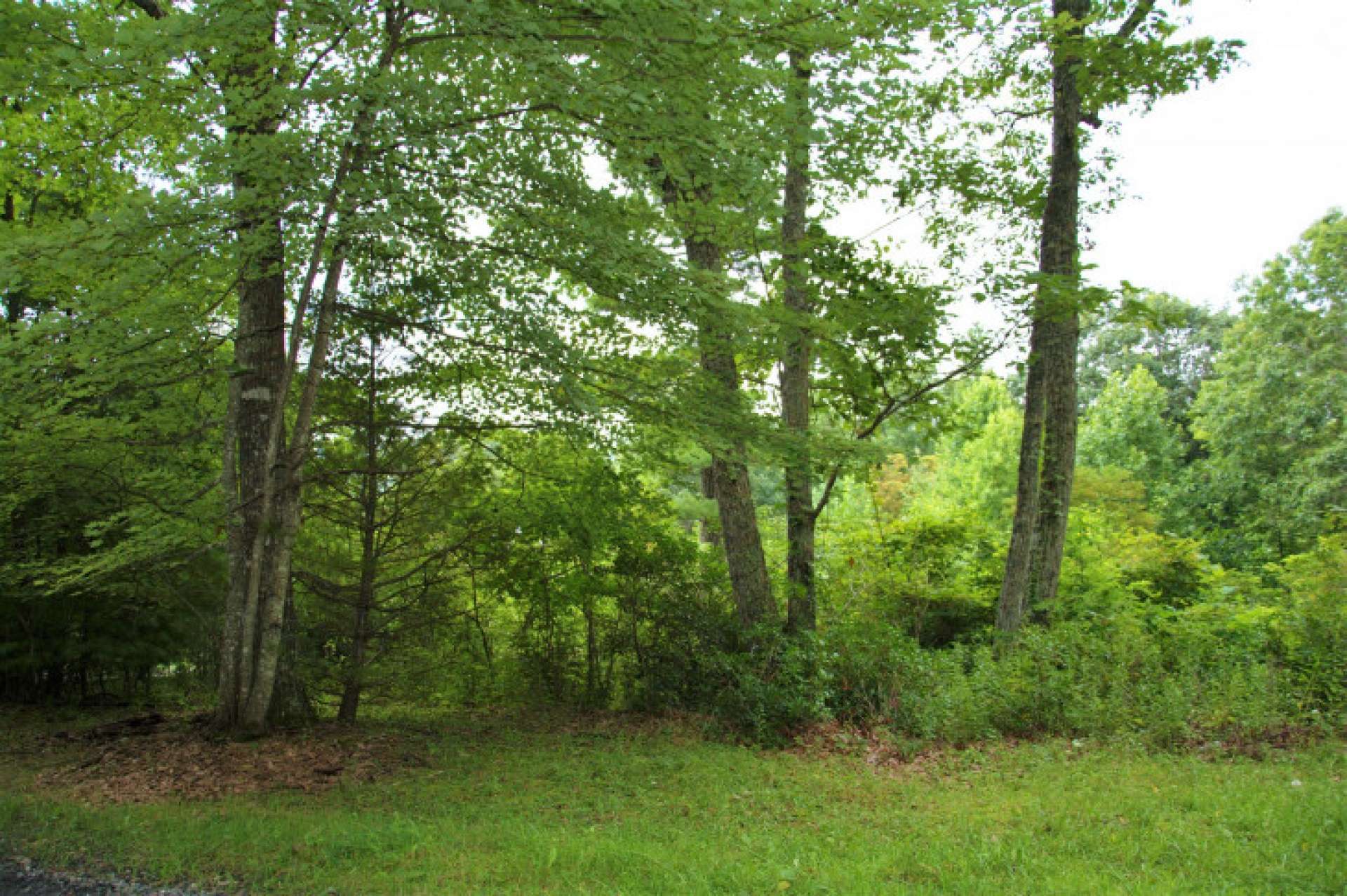 Serene and tranquil, this home site and community offer the best of mountain living while still being a short drive into Boone or West Jefferson, NC for shopping, recreation and adventure.  <b>Lots 23 and 24 are offered together for $44,900.<font color = red>  * Also offered separately at $24,500 Each. M282  </font color></b>