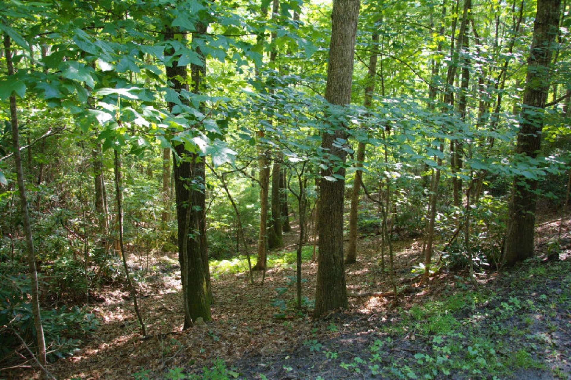 This home site is ideal for your NC Mountain retreat or full time home in Southern Ashe County.