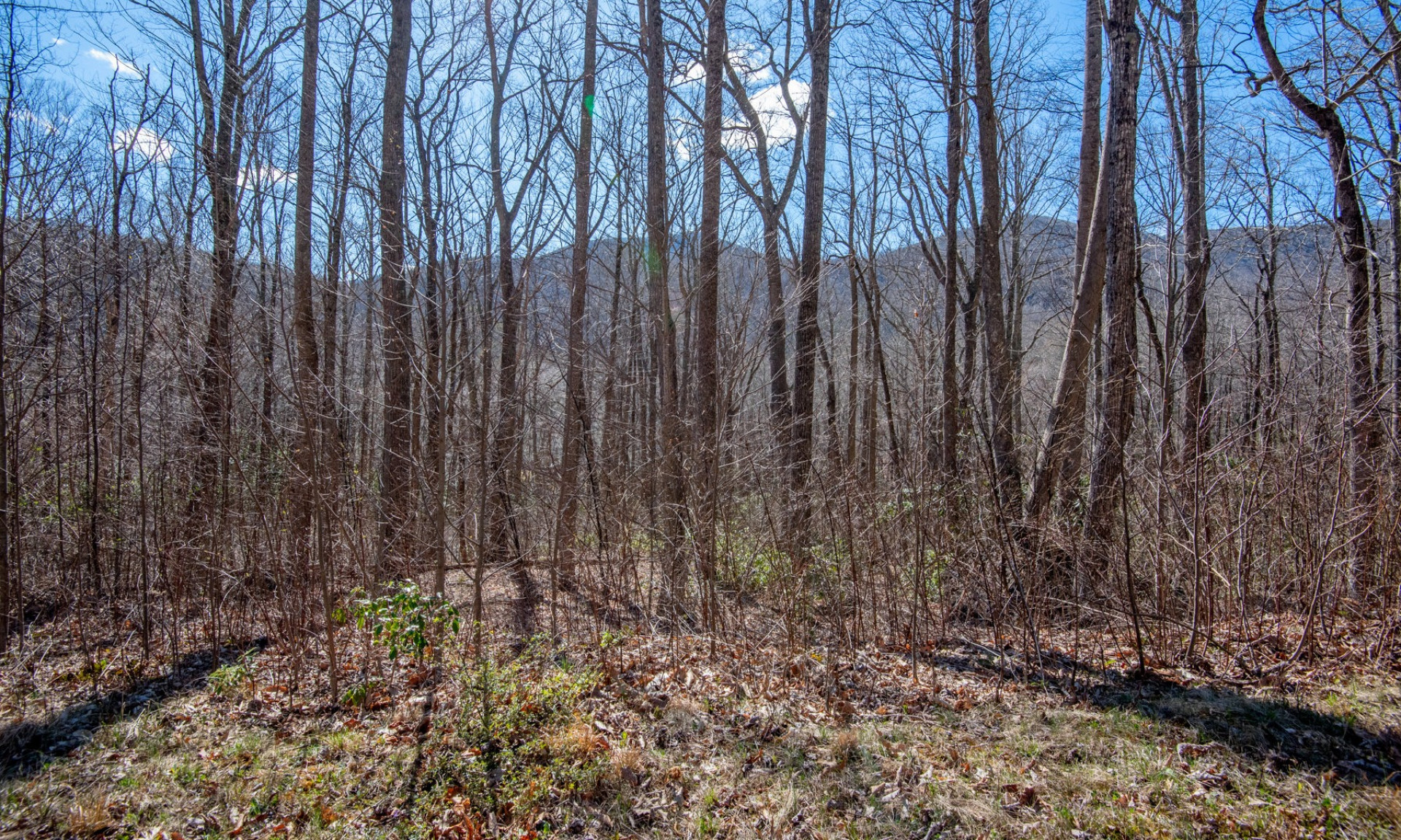 Homesite NC Blue Ridge Mountains