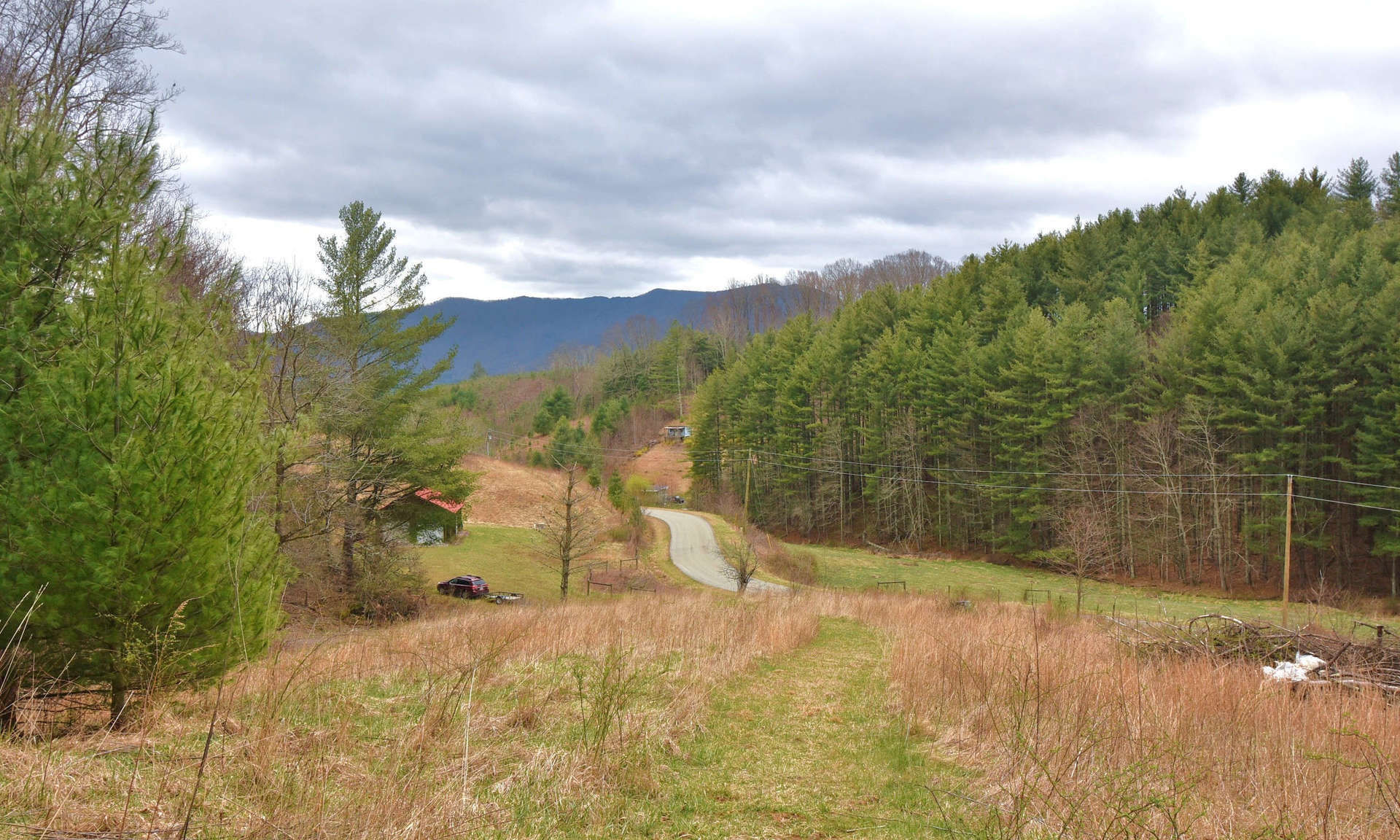 If you are looking for a large acreage tract in the NC Mountains, come take a look at this beautiful 107.58 acre tract located off of Little Piney Road in the Lansing area of Ashe County in the NC High Country.