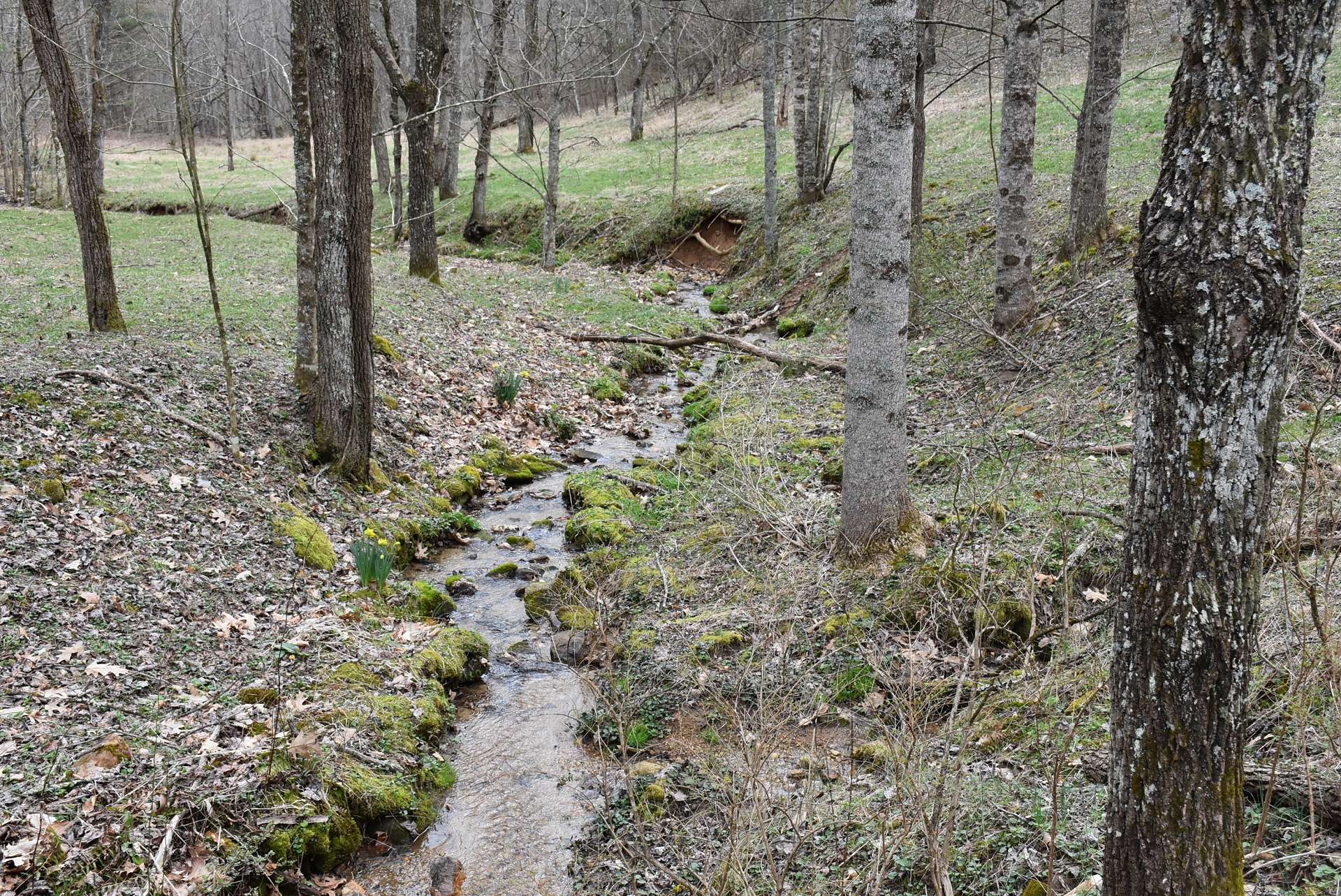 A bold mountain stream meanders through the property creating pond potential.