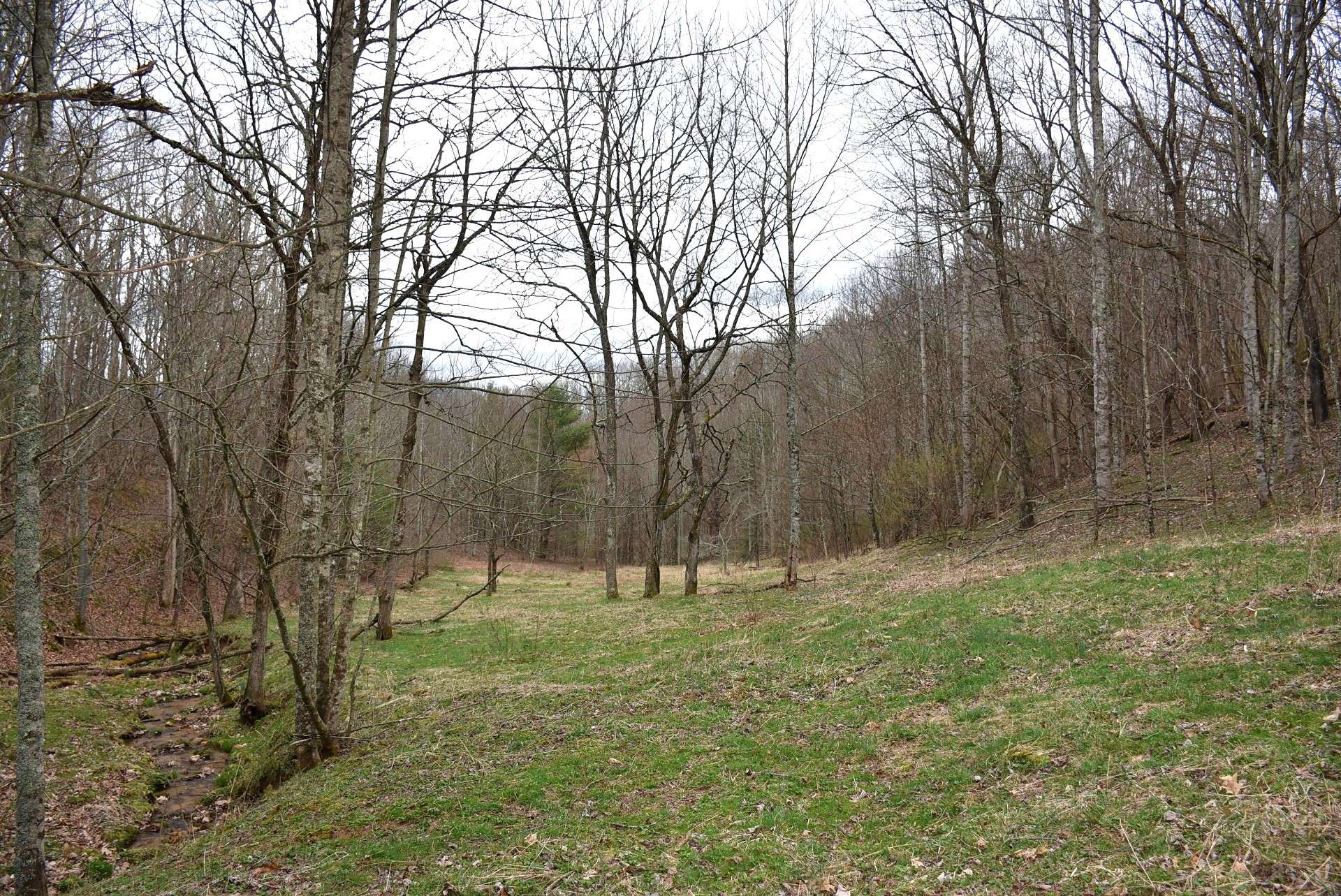 The land offers a mixed terrain with approximately 18 acres of old fields to be reclaimed, the bulk of the property is hardwoods and evergreens.