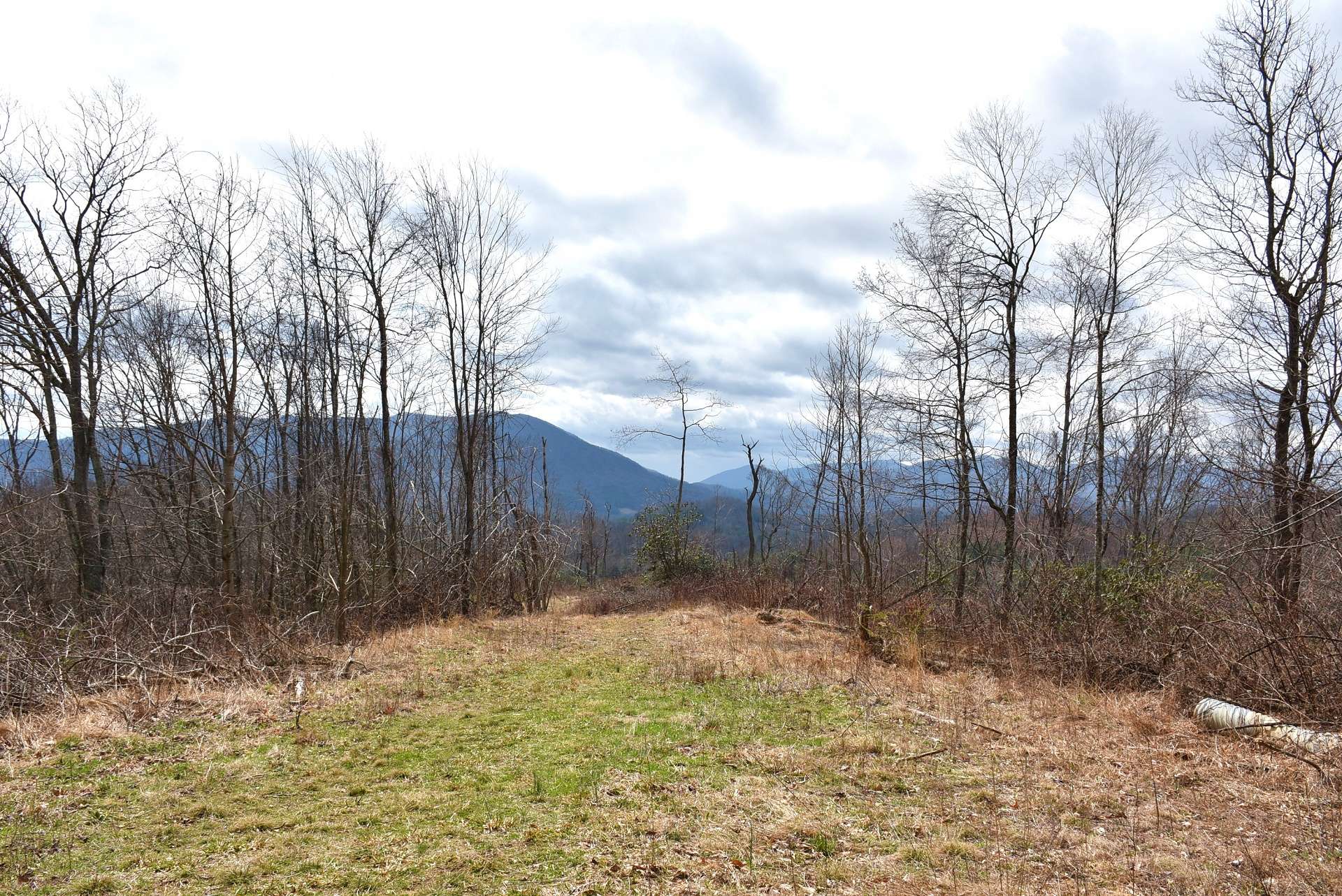 Imagine your dream mountain home or cabin built here.