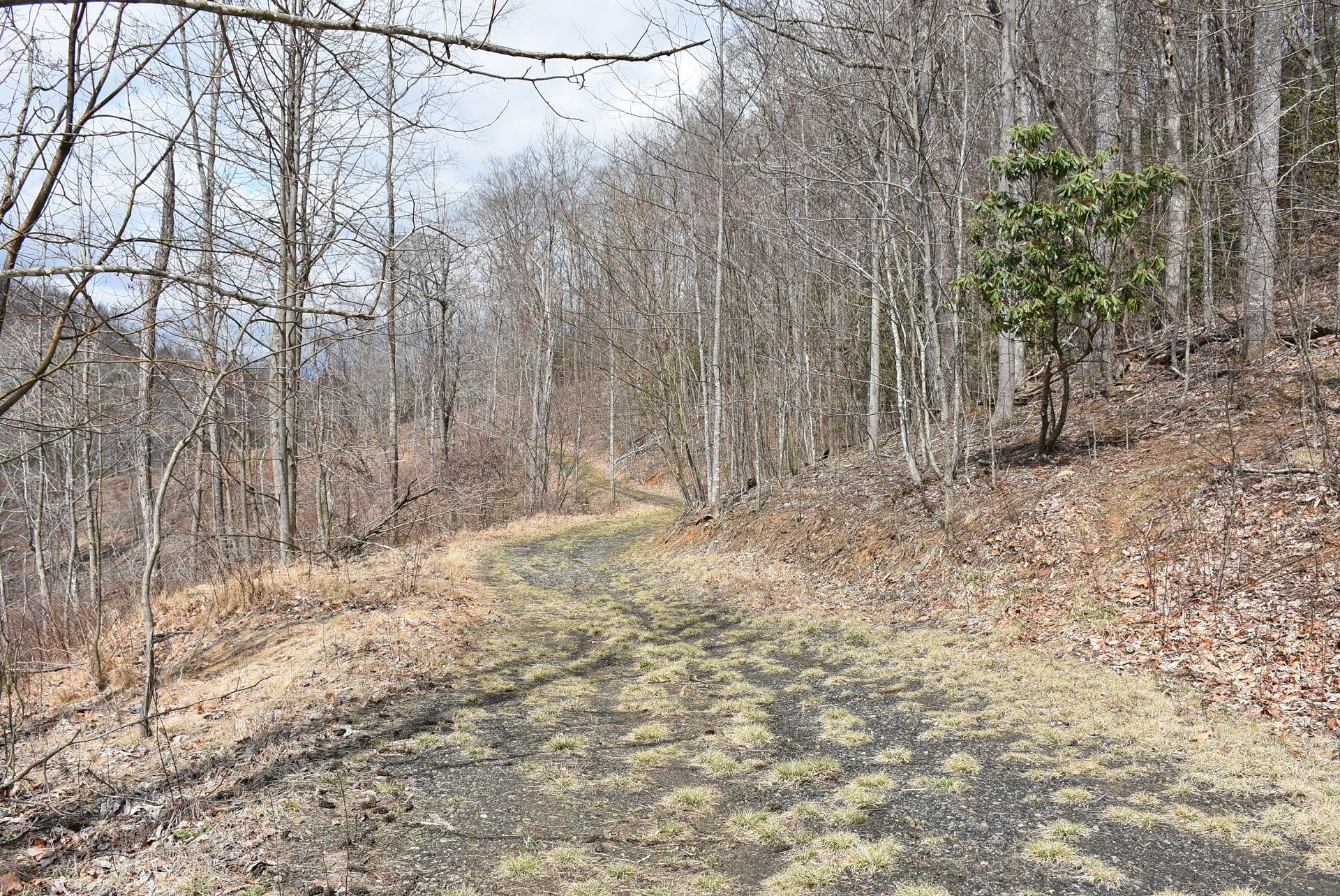 The roads and trails take you to a long ridgeline where you will find multiple potential building sites with views.