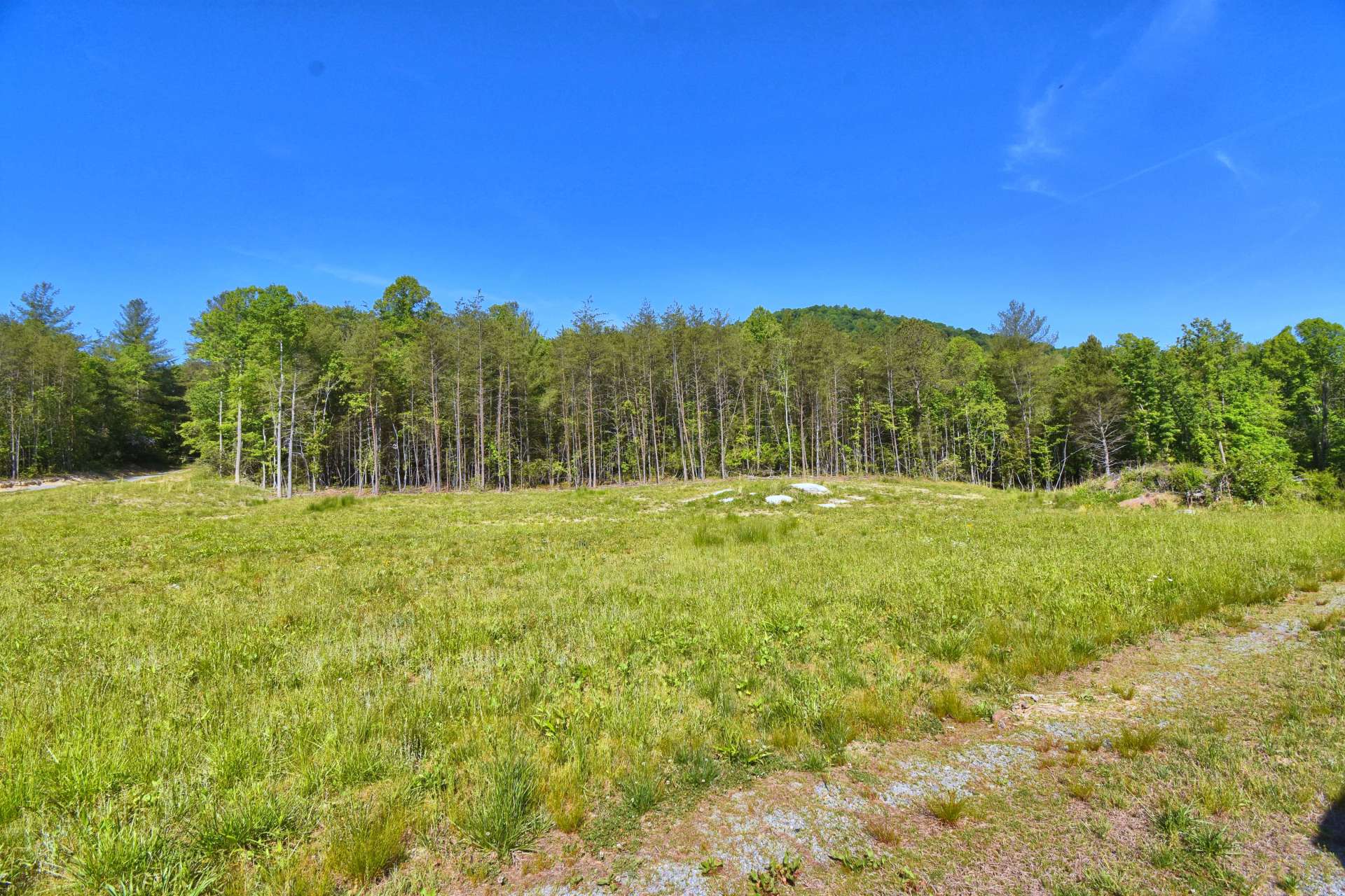 An open field at the entrance provides an option for livestock.