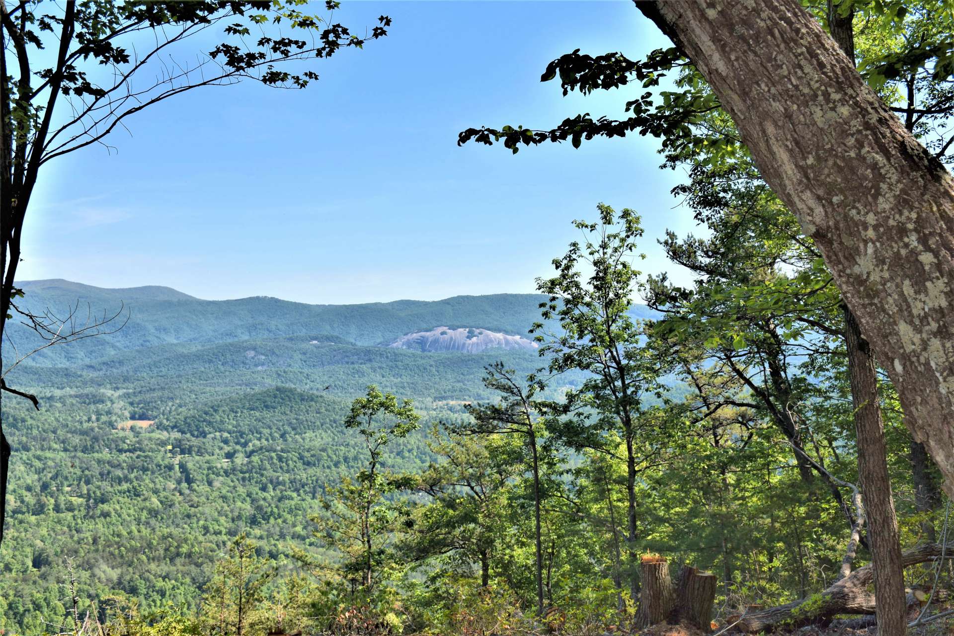 Enjoy an almost level ridgetop with glorious views of Hanging Rock, Stone Mountain, Pilot Mountain, and surrounding mountain ranges.