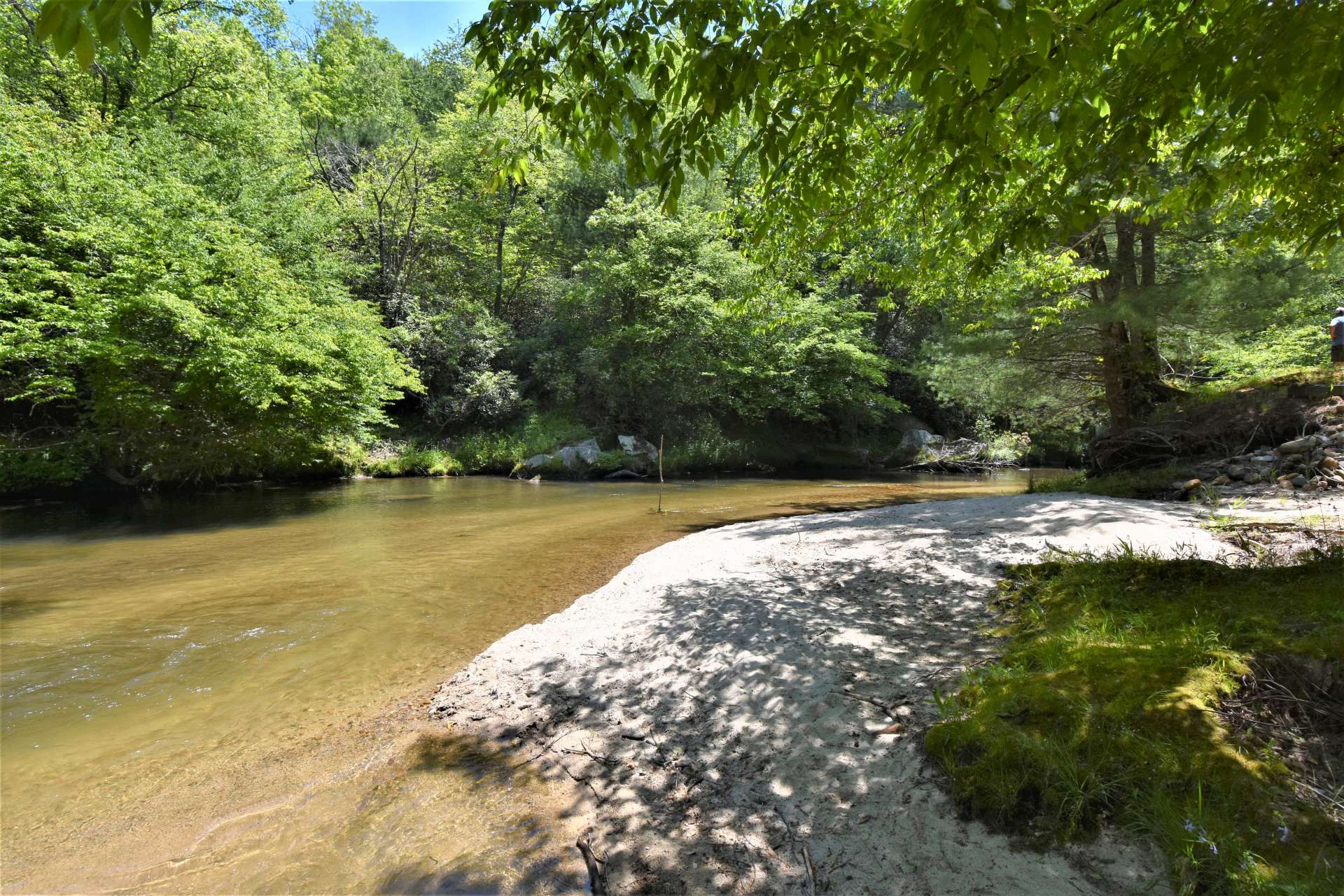 In addition to fantastic long range mountain views, you have private frontage on the east fork of Roaring Creek, a stocked trout stream.