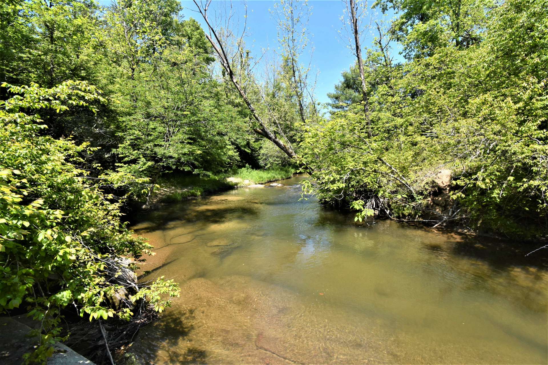 This property is a sportsman's paradise with opportunities for fishing, hunting, riding ATVs or horses, hiking, birdwatching, or just observing Nature.