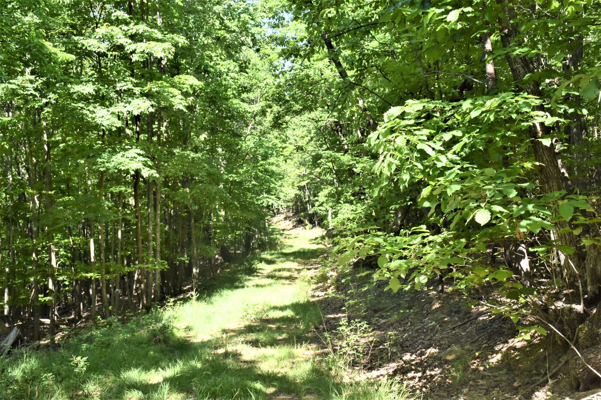 The terrain is mixed and offers a diverse mixture of native hardwoods, evergreens and mountain foliage.