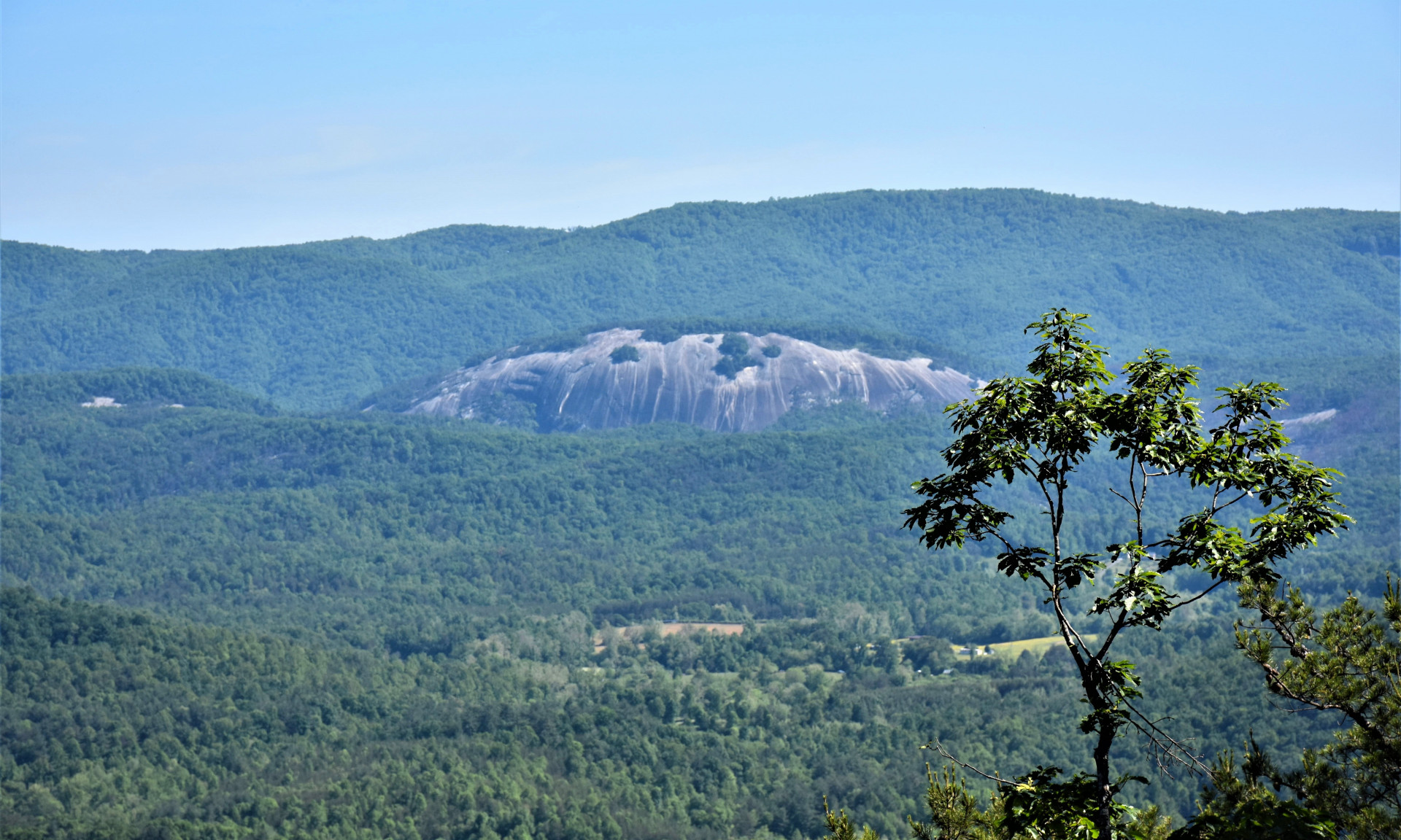 This 481 acre tract of land is truly an amazing acreage tract in the Traphill area of the NC Mountains!