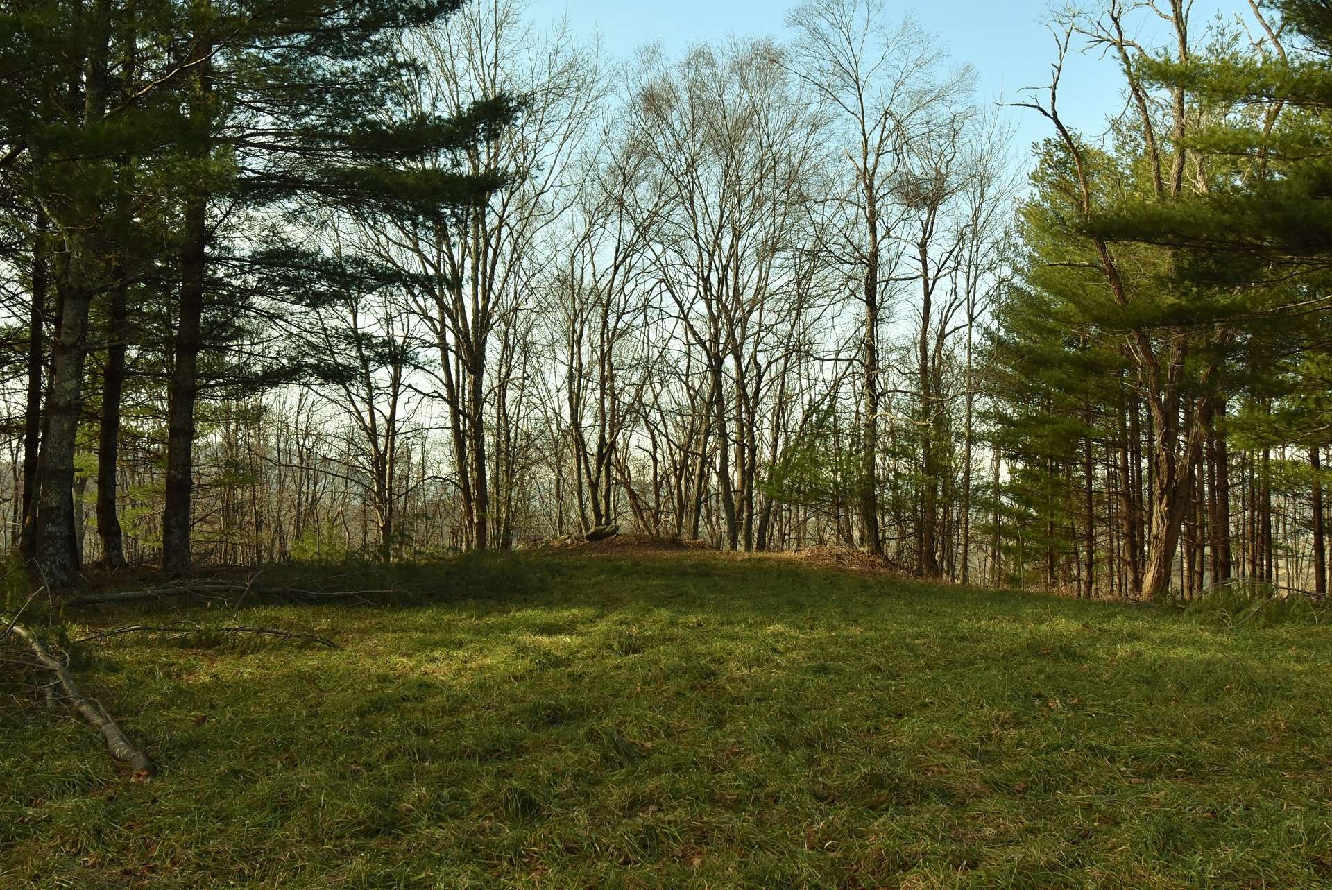 This acreage tract is graced with multiple building sites, whether you wish to be in the open with both pastoral and mountain views or deep within the forest beneath towering hardwoods.