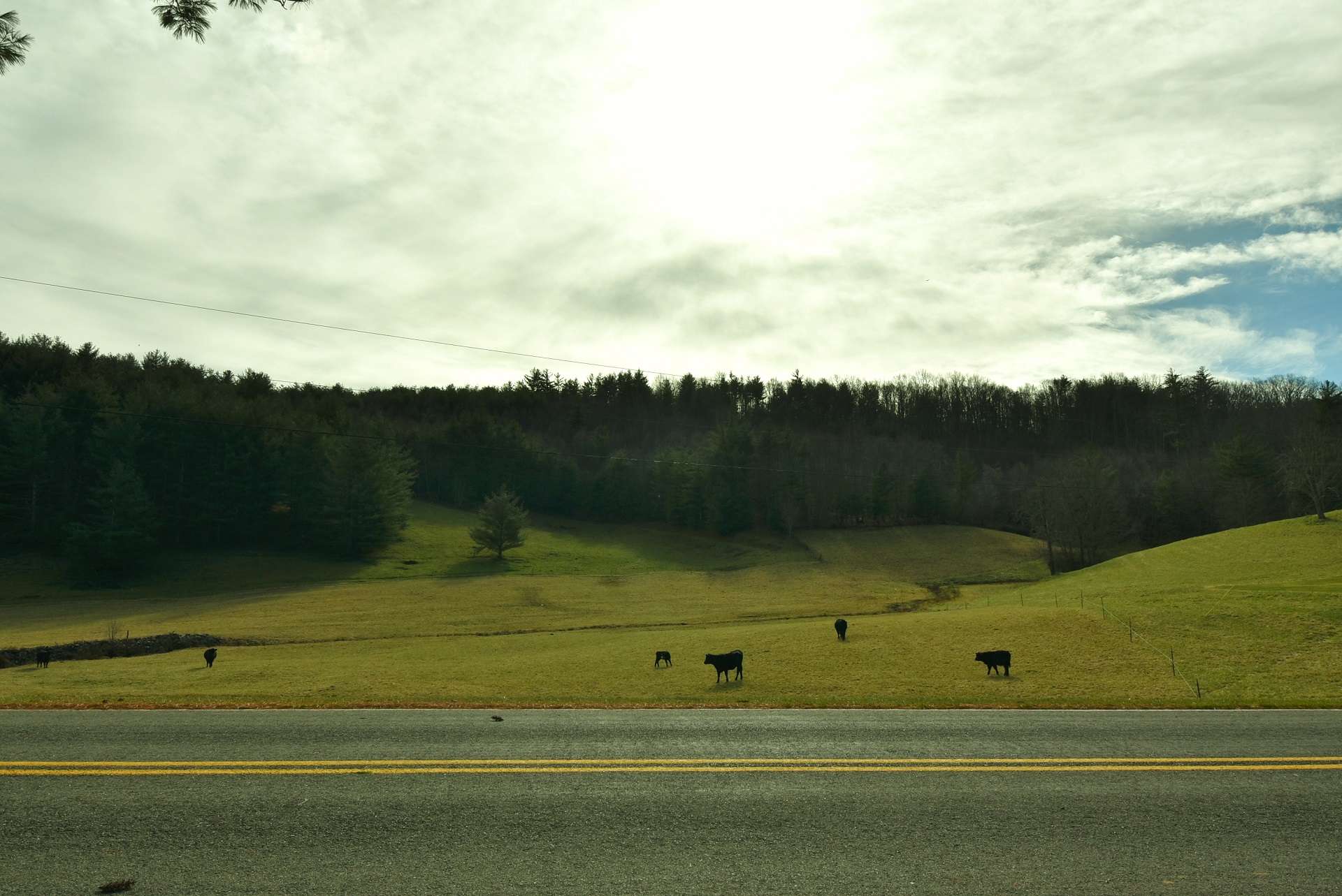 EXTRAORDINARY LARGE LAND TRACT! A true gem in the Blue Ridge Mountains of North Carolina, this 129.9 acre tract of land is located off of Huckleberry Ridge Road in the Crumpler area of Ashe County.