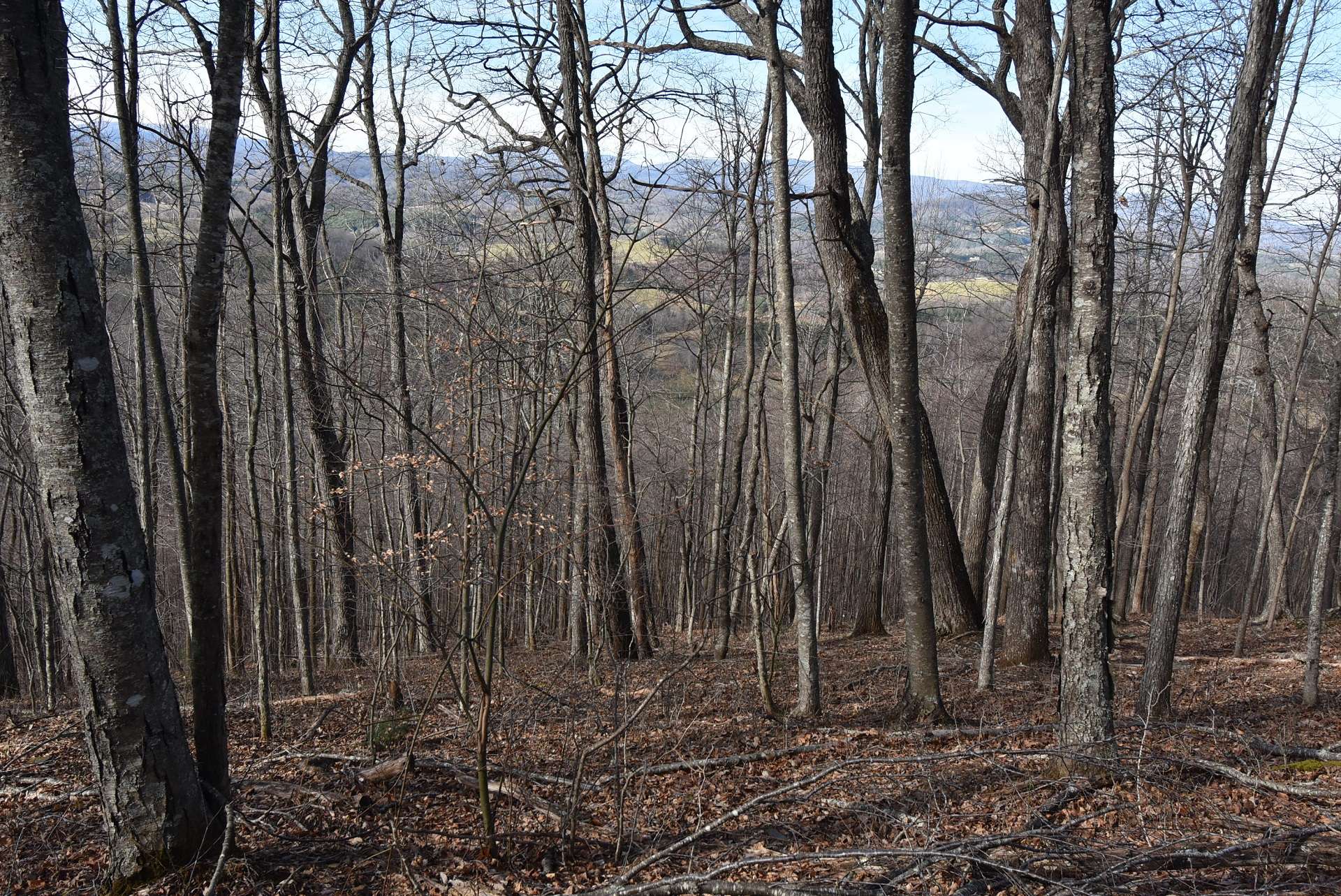 Just imagine your NC Mountain dream home or cabin nestled among complete privacy. A place where you can relax on the porch and enjoy Nature.