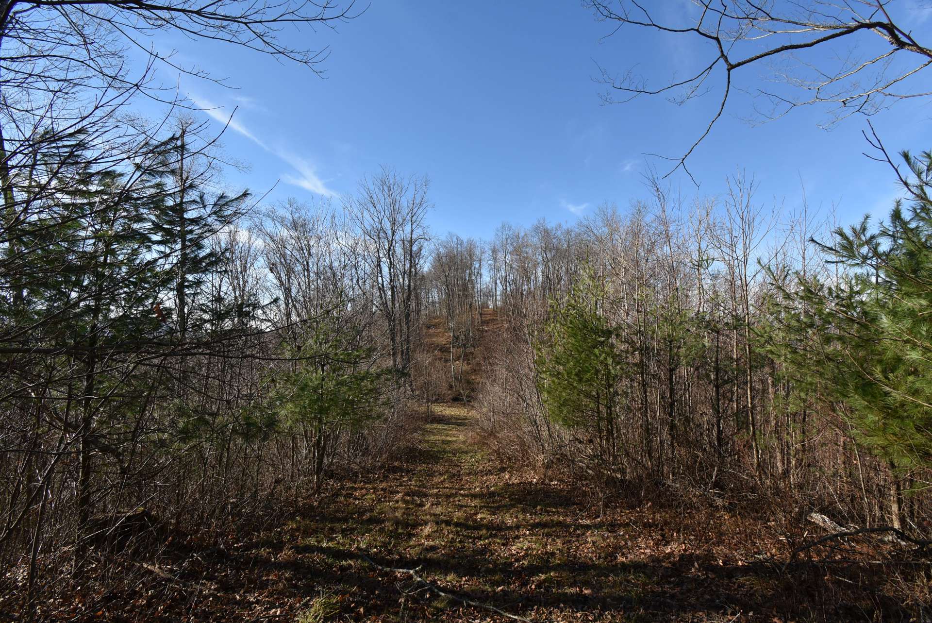 ...A place where the only sounds you hear are of a lone whippoorwill on the nearby ridge.