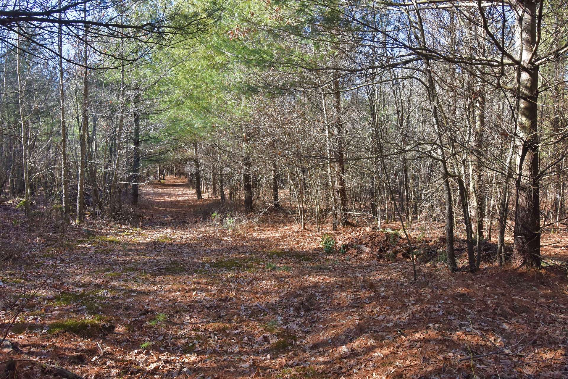 What a great opportunity to enjoy unrestricted mountain life in a cabin or home constructed on one of many potential building sites.