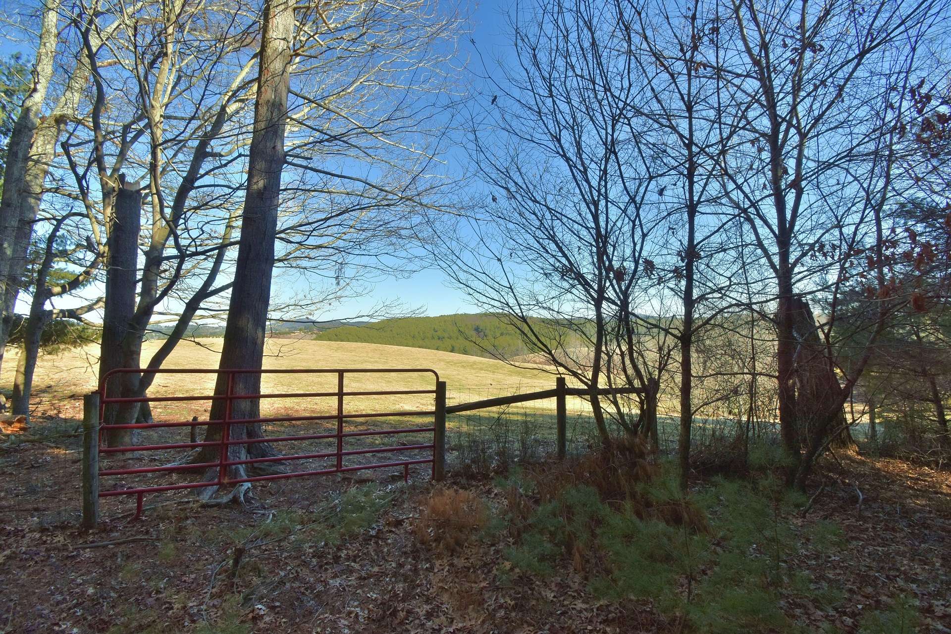 You might want to build on this spot with views of the neighboring pasture land with the mountains beyond.