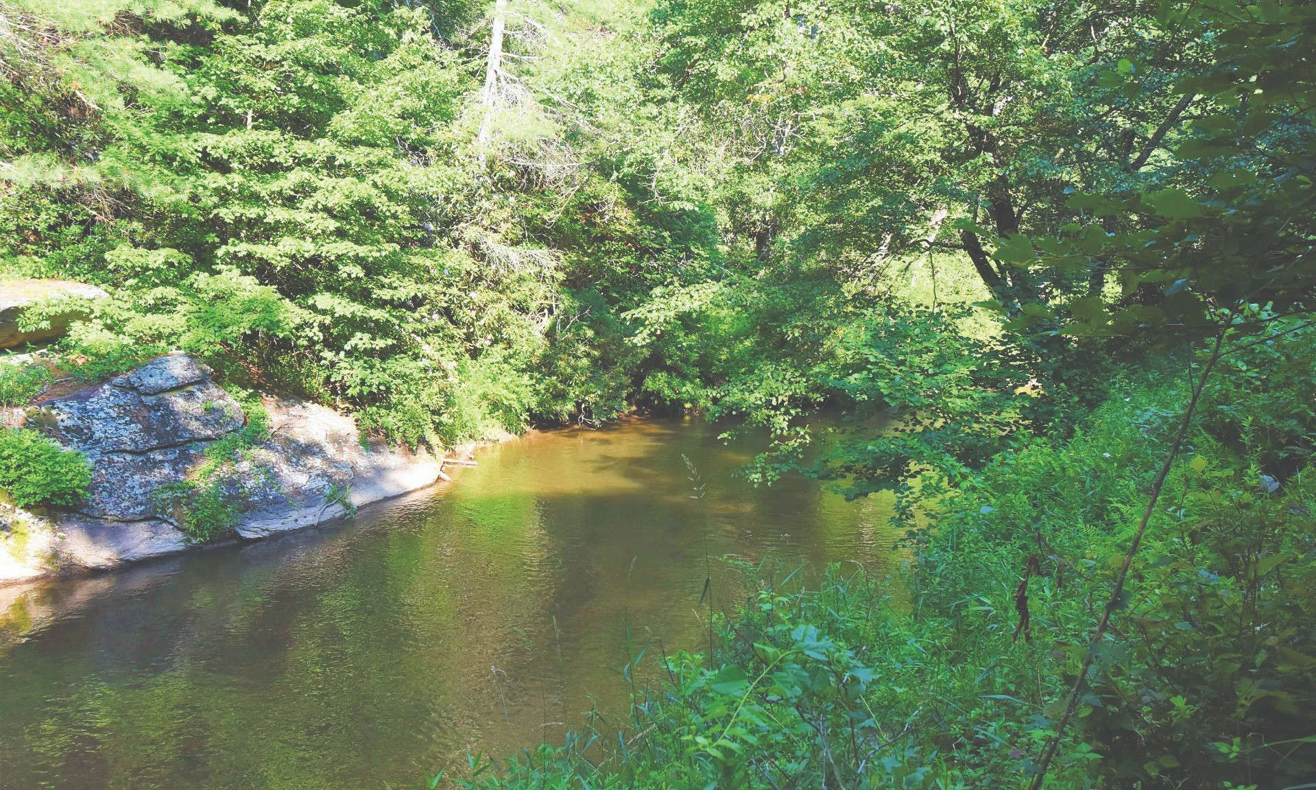 This large 140.33 acre land tract in the Glade Valley area of Alleghany County in the NC Mountains is truly a rare and unique unrestricted acreage tract with private frontage on a bold stocked trout stream.