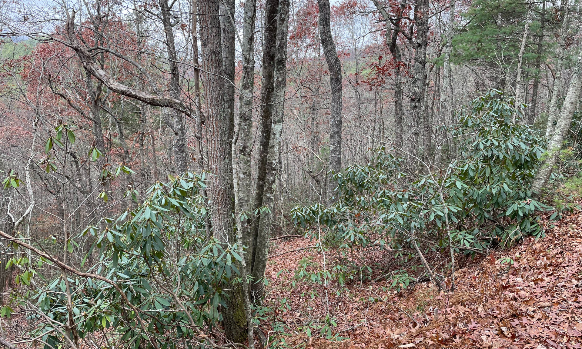 Lost Trail NC Mountain Homesite